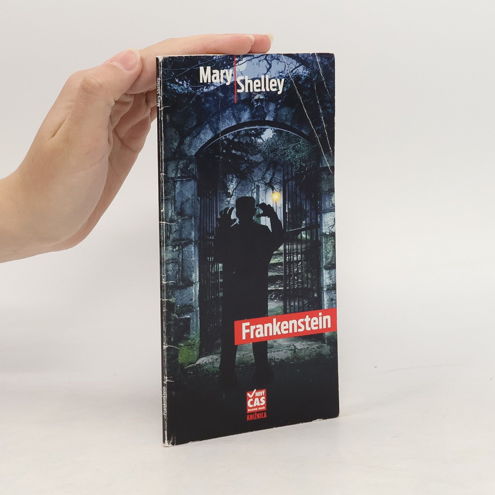 Mary Shelley Frankenstein
