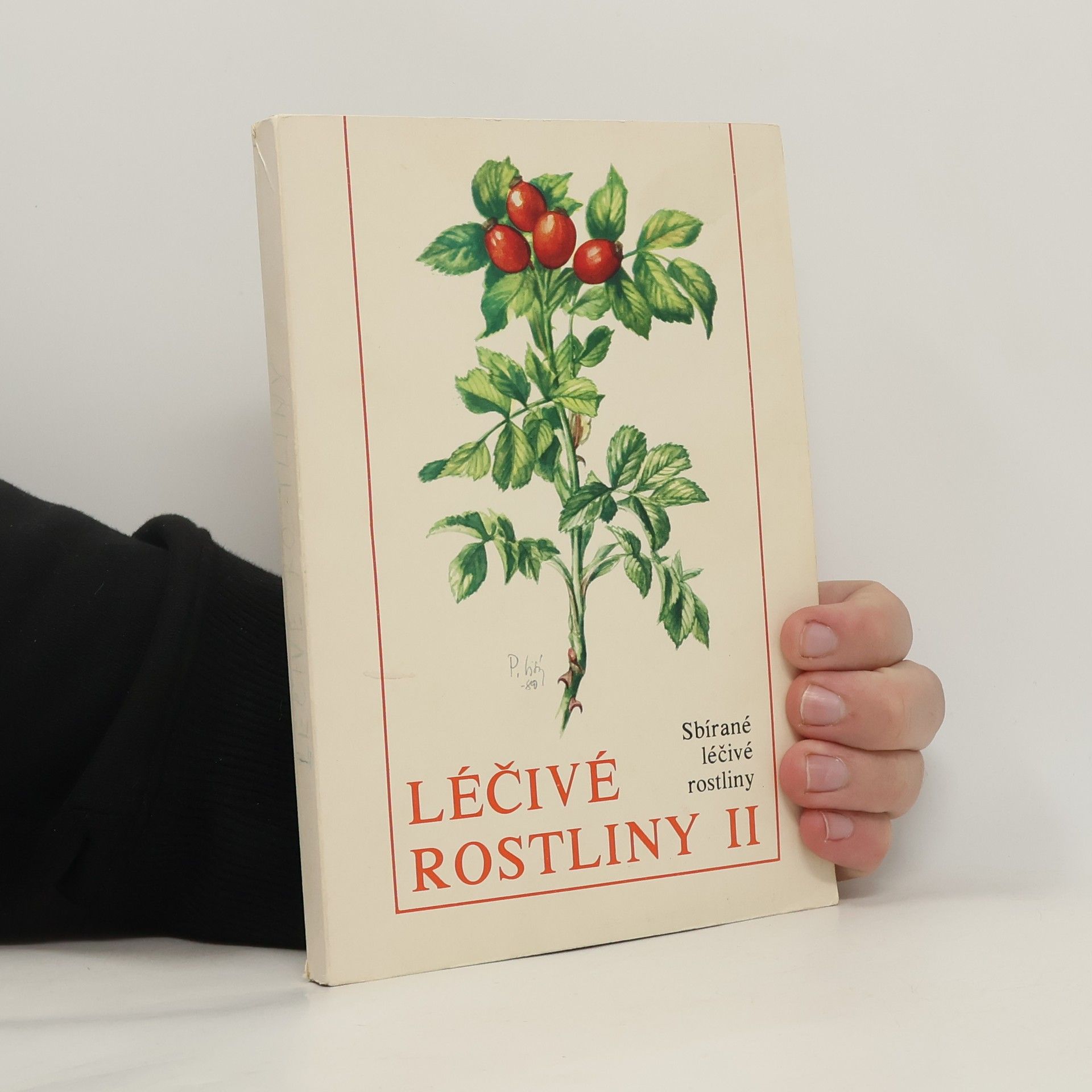 Léčivé rostliny II