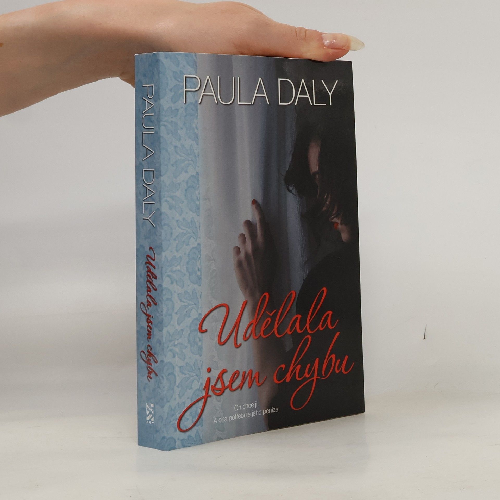 Paula Daly Udělala jsem chybu