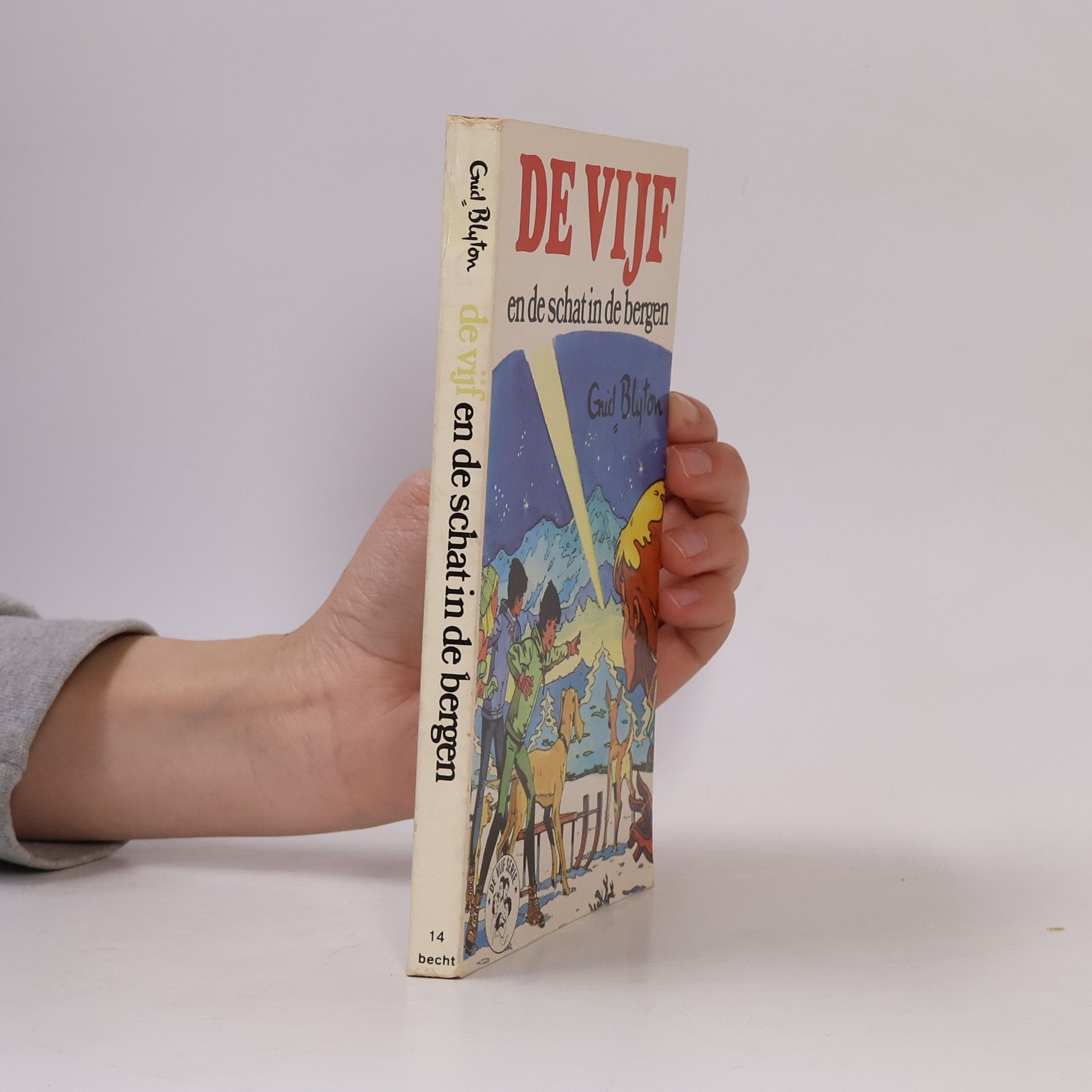 D.L. Uyt den Bogaard De Vijf Serie - 14: De Vijf en de schat in de bergen