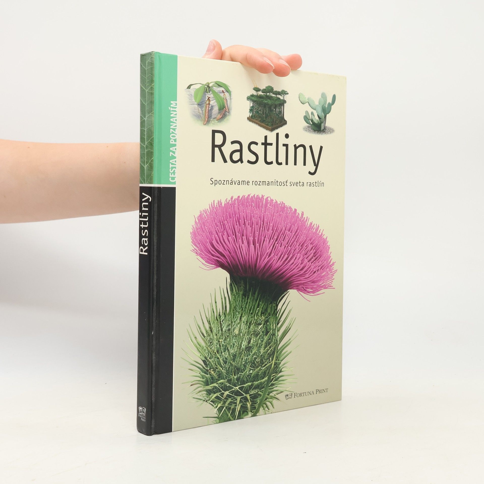 Stéphane Batigne Rastliny (Spoznávame rozmanitosť sveta rastlín