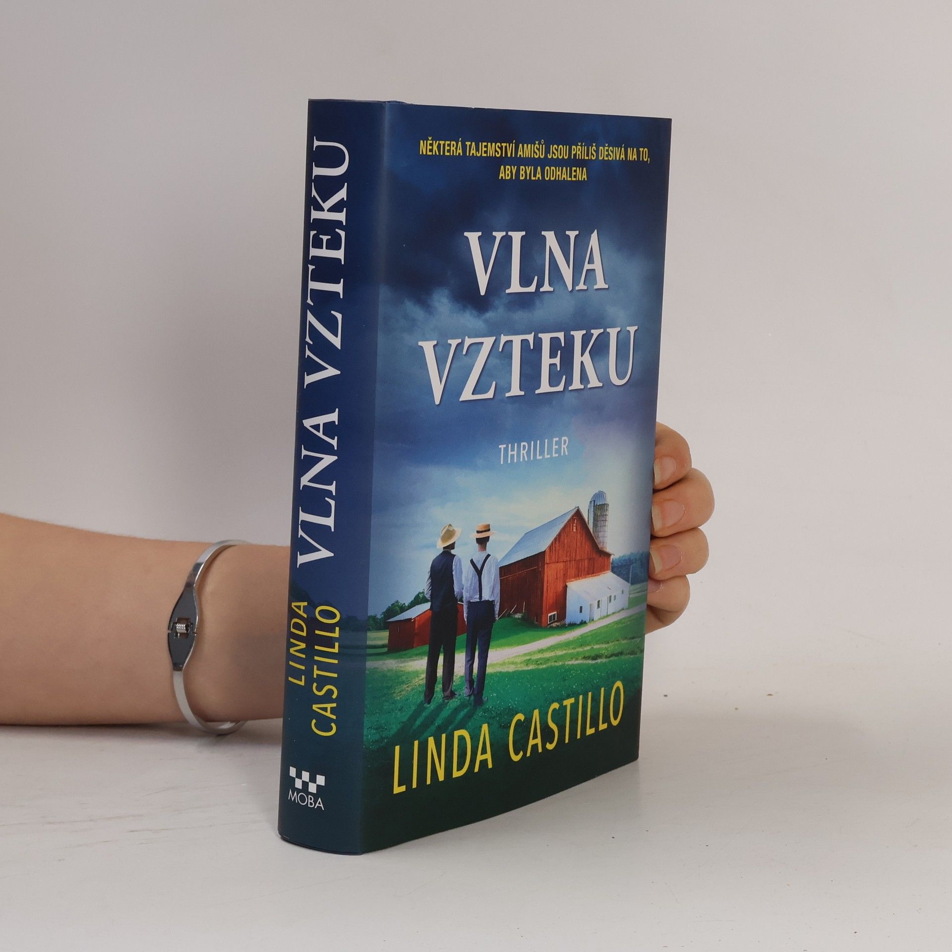 Vlna vzteku