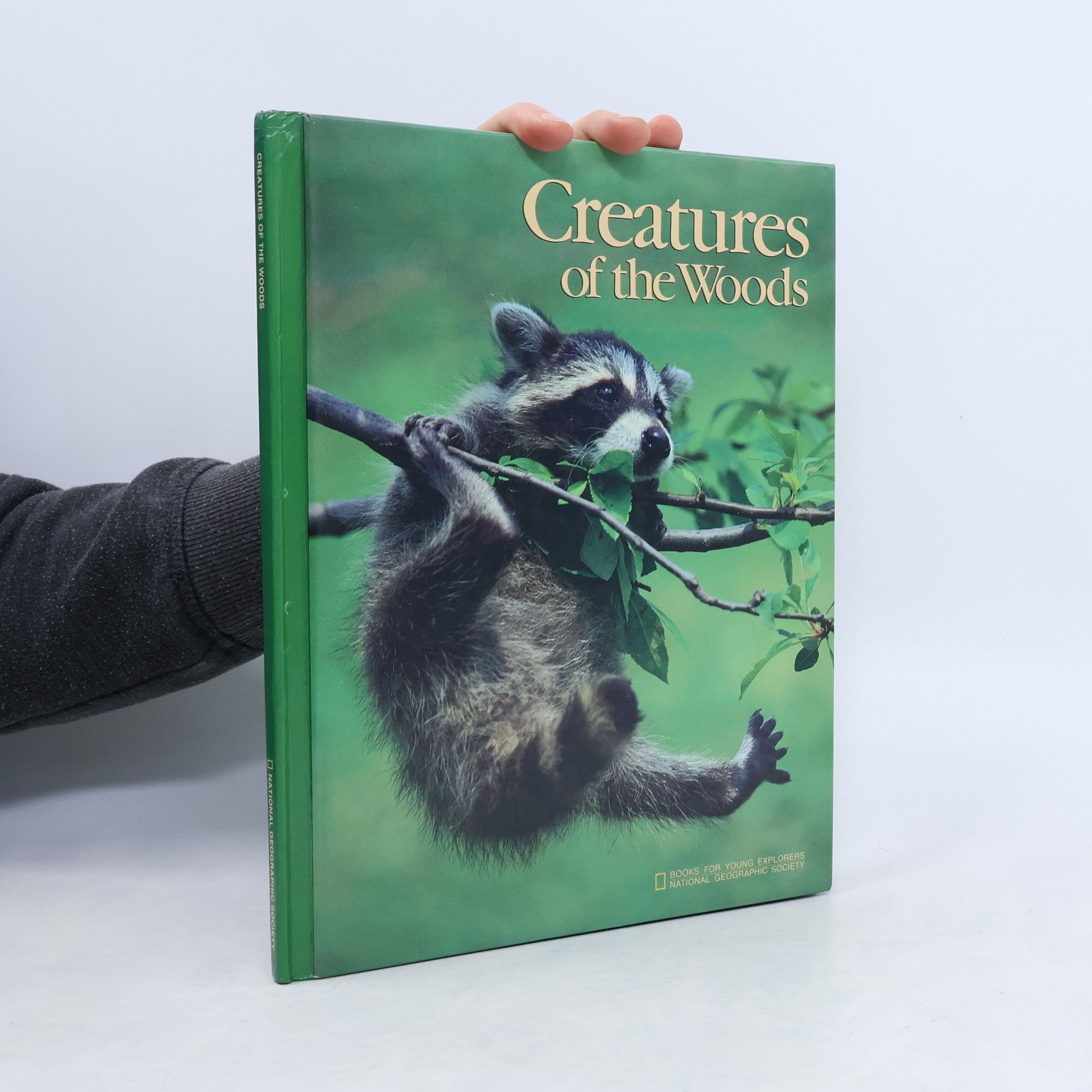 Toni Eugene Creatures of the Woods