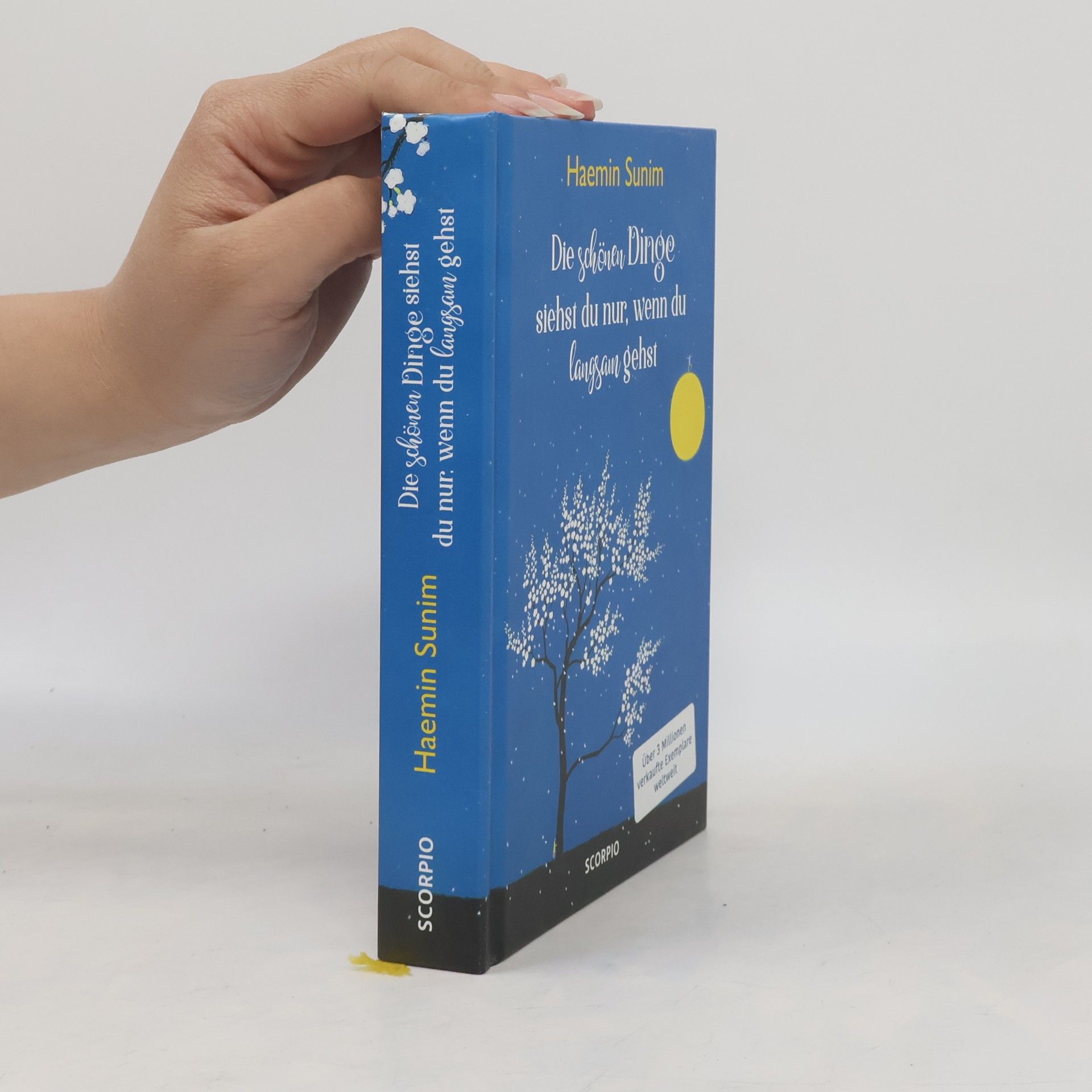 Haemin Die schönen Dinge siehst du nur, wenn du langsam gehst