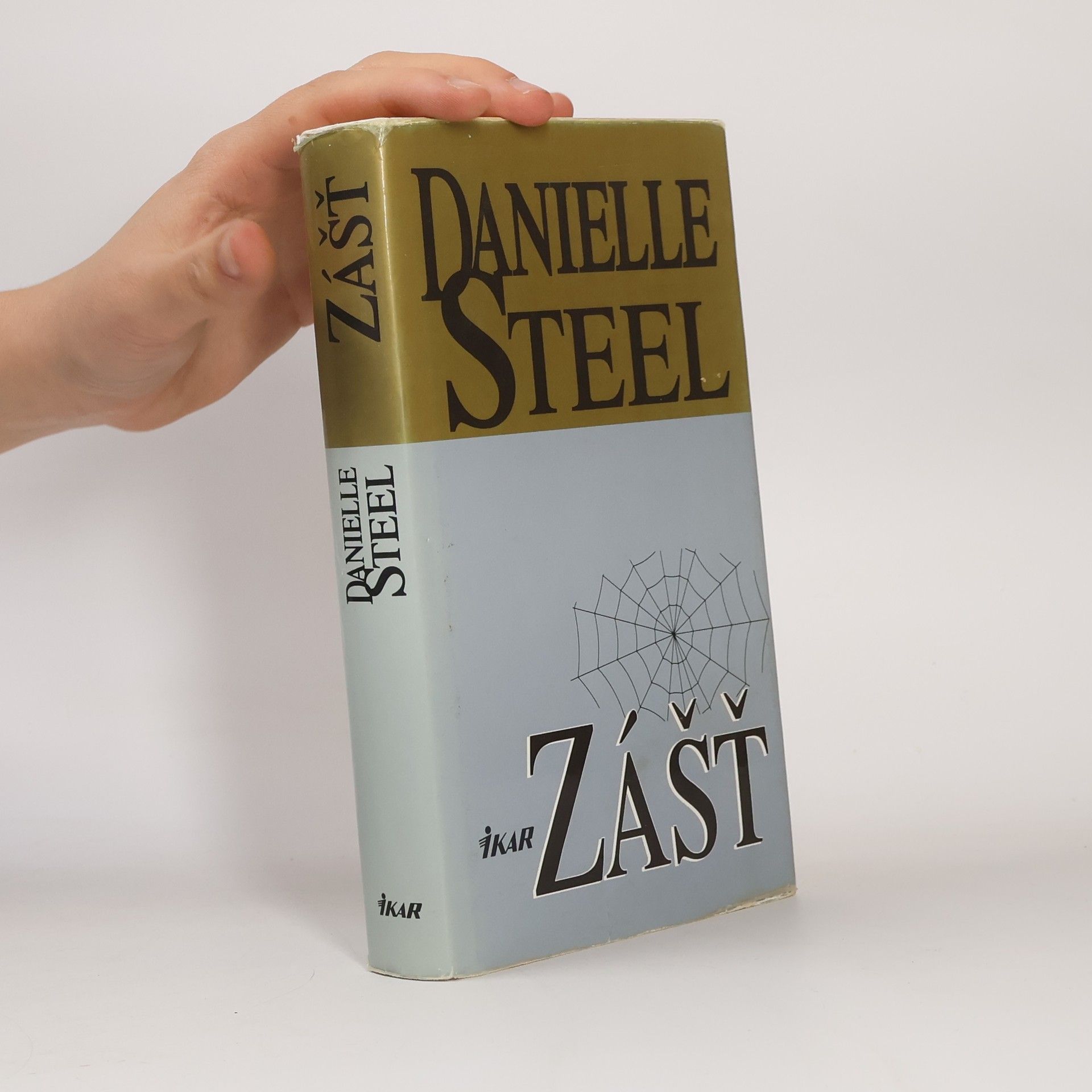 Danielle Steel Zášť
