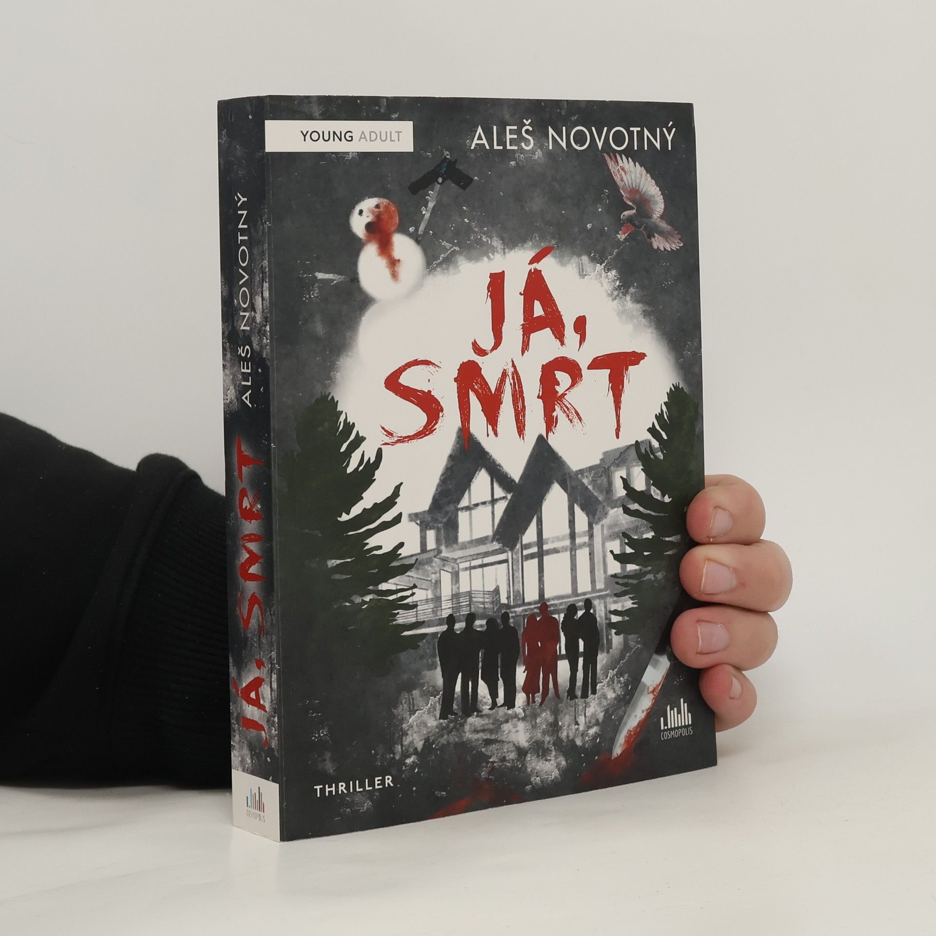 Aleš Novotný Já, Smrt