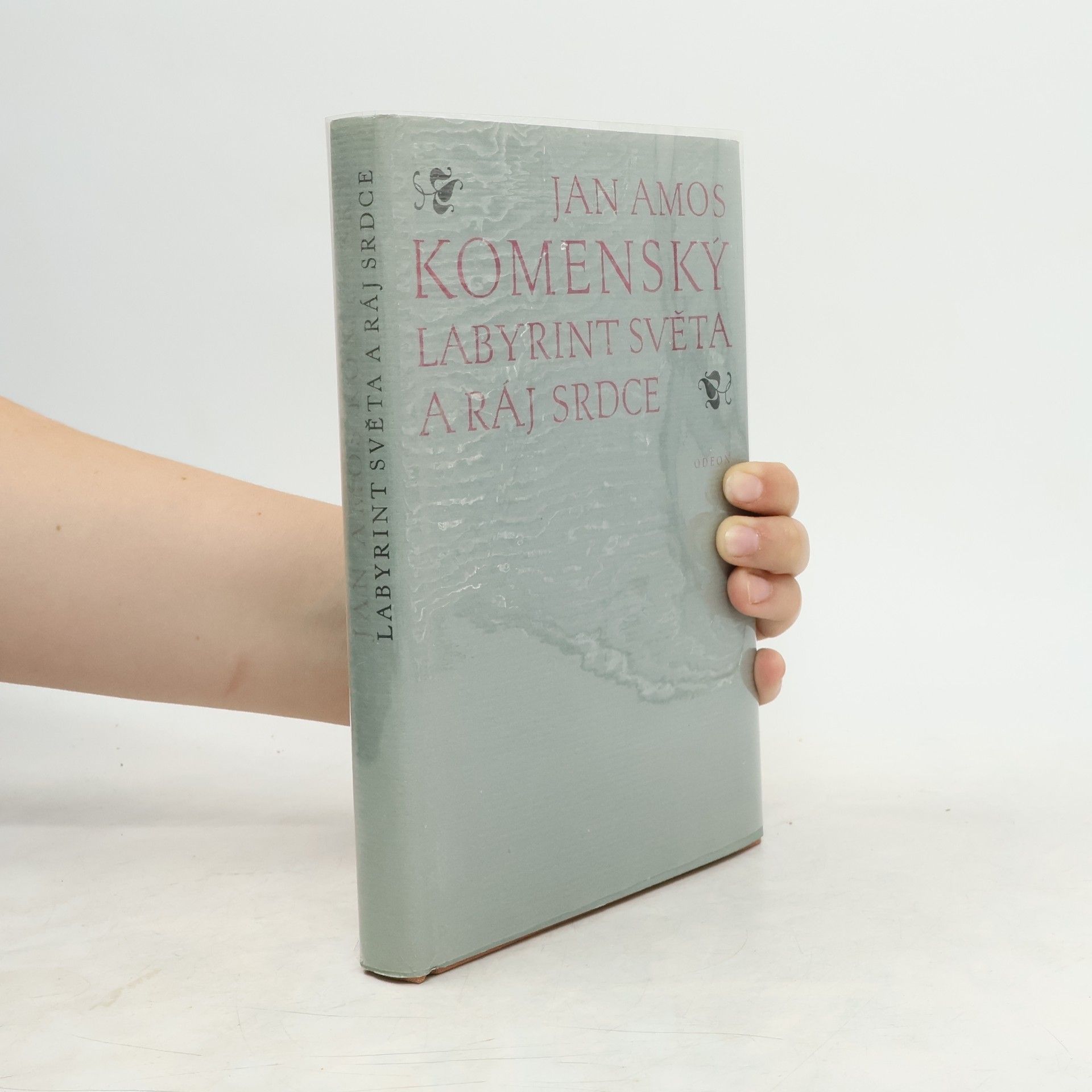 Jan Amos Komenský Labyrint světa a ráj srdce