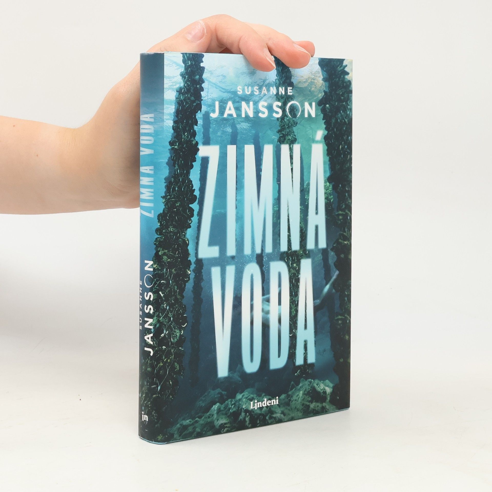 Susanne Jansson Zimná voda