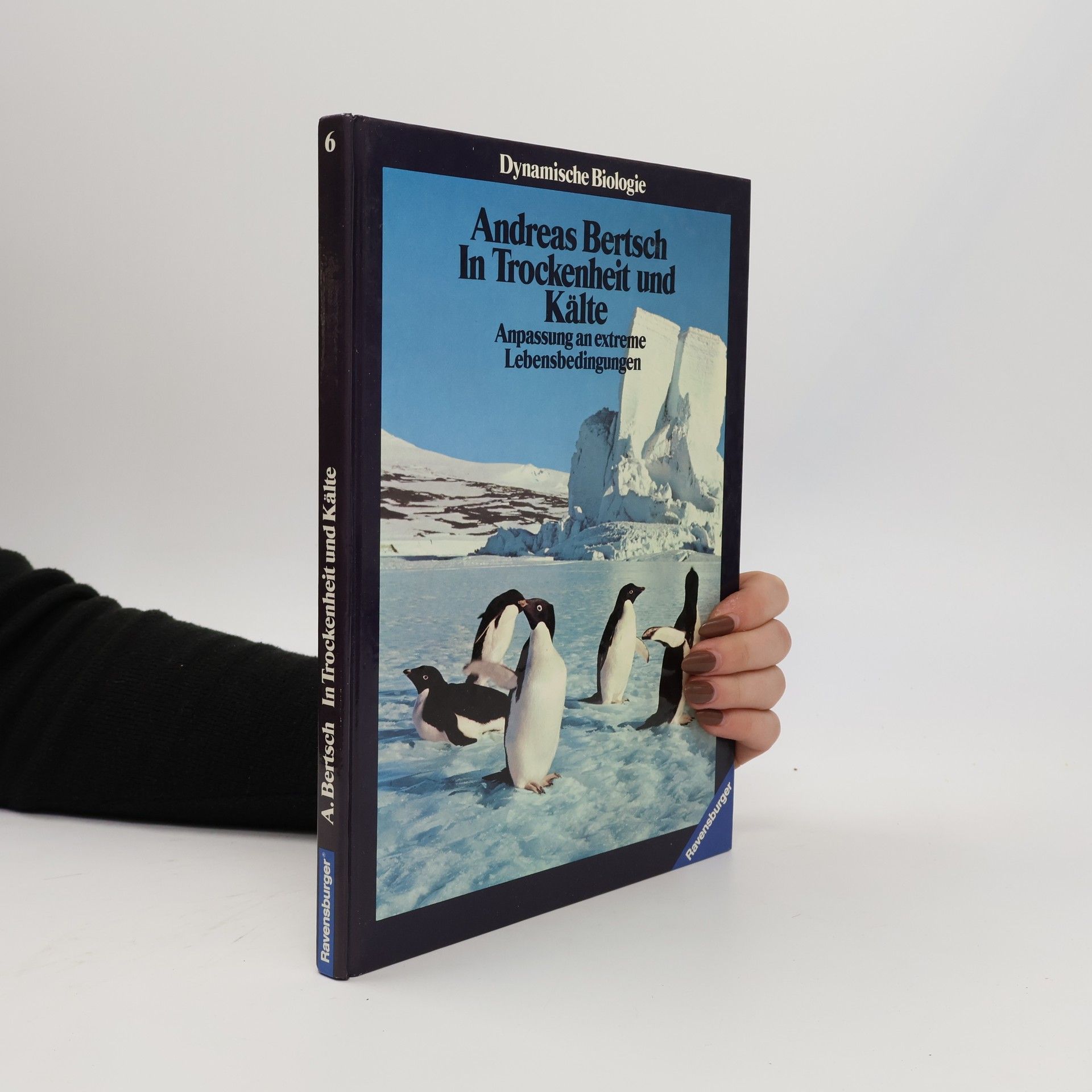 Andreas Bertsch In Trockenheit und Kälte