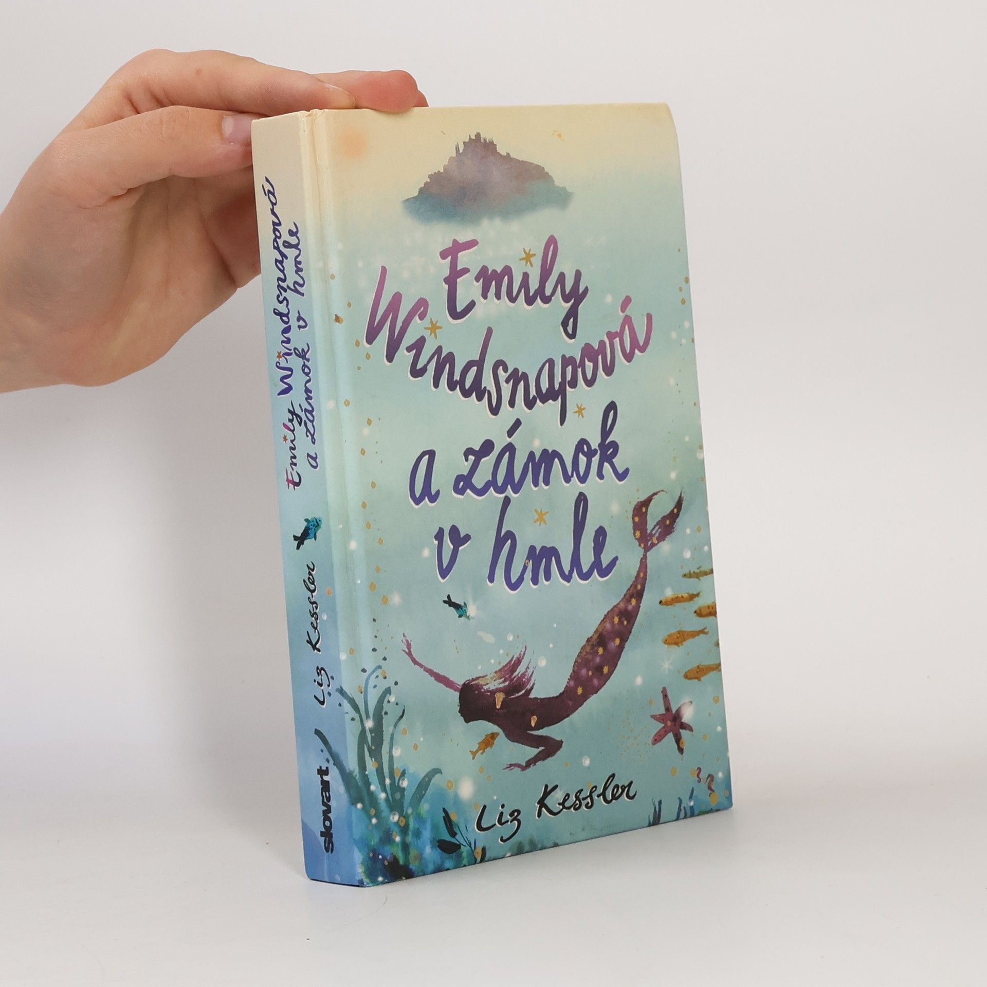 Liz Kessler Emily Windsnapová a zámok v hmle