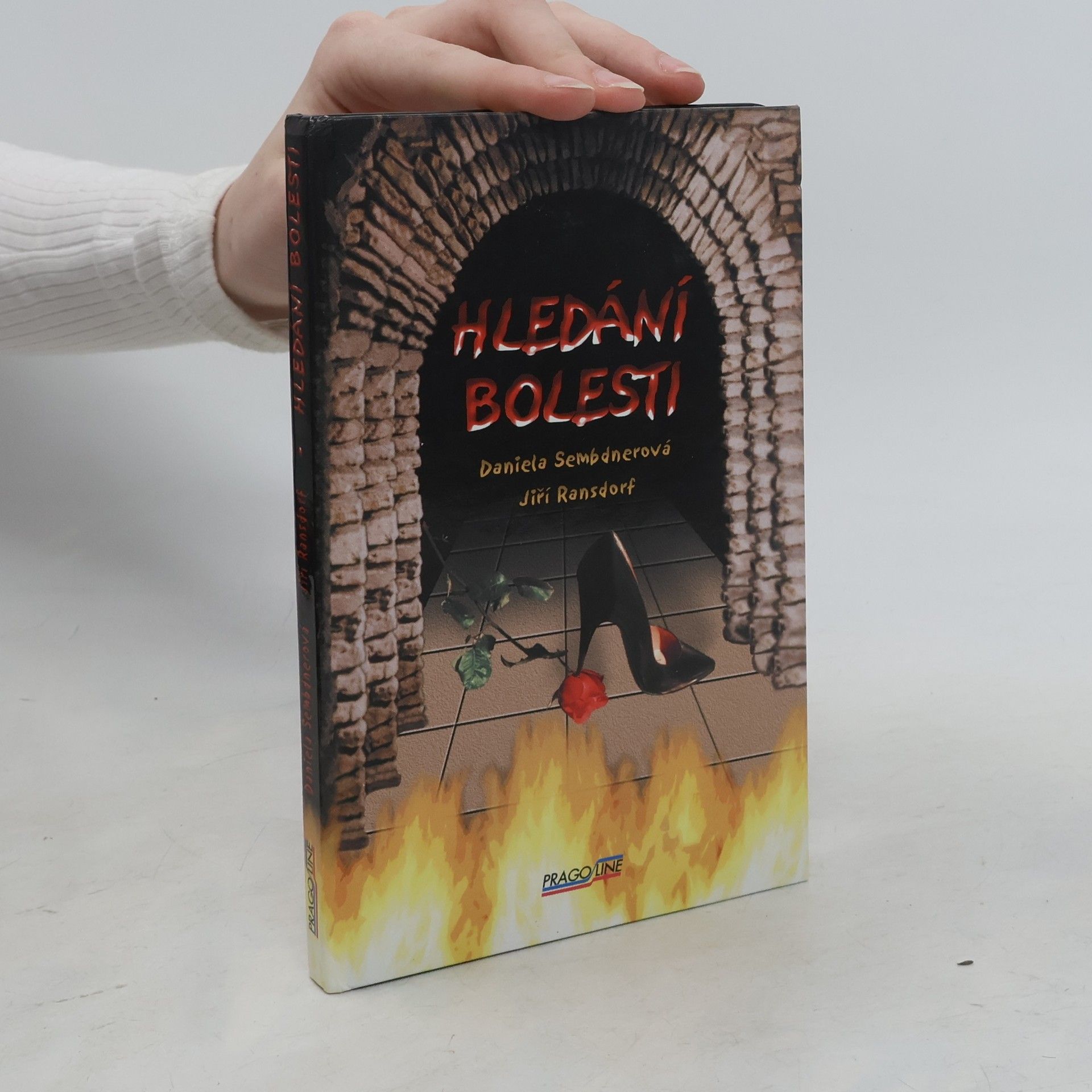 Jiří Ransdorf Hledání bolesti