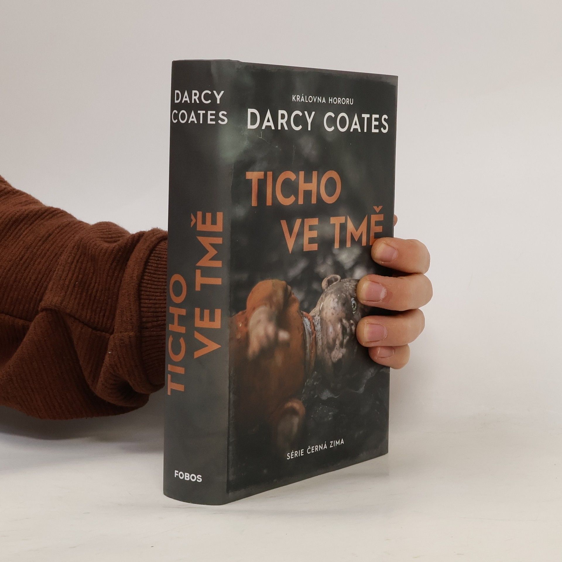Darcy Coates Ticho ve tmě