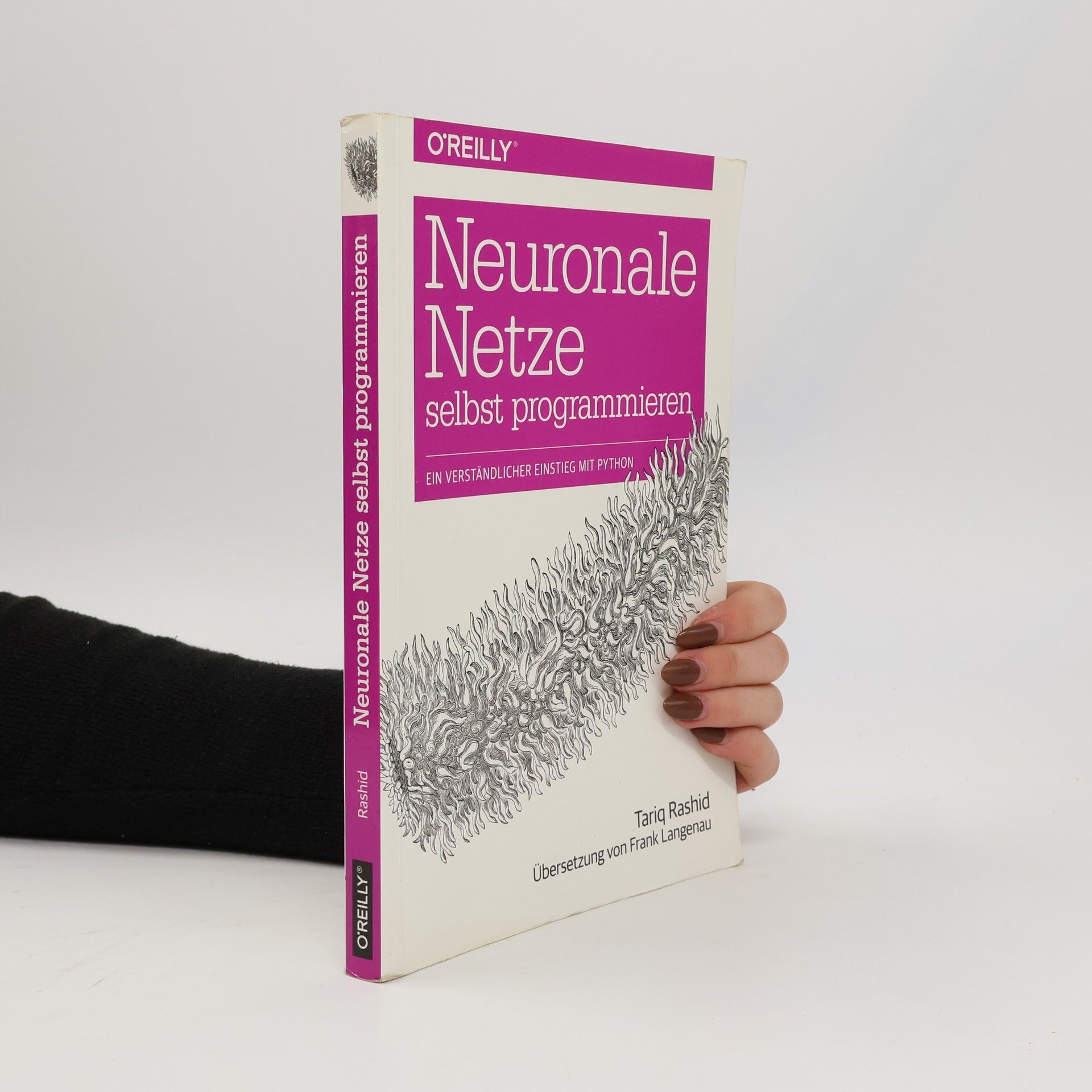 Tariq Rashid Neuronale Netze selbst programmieren