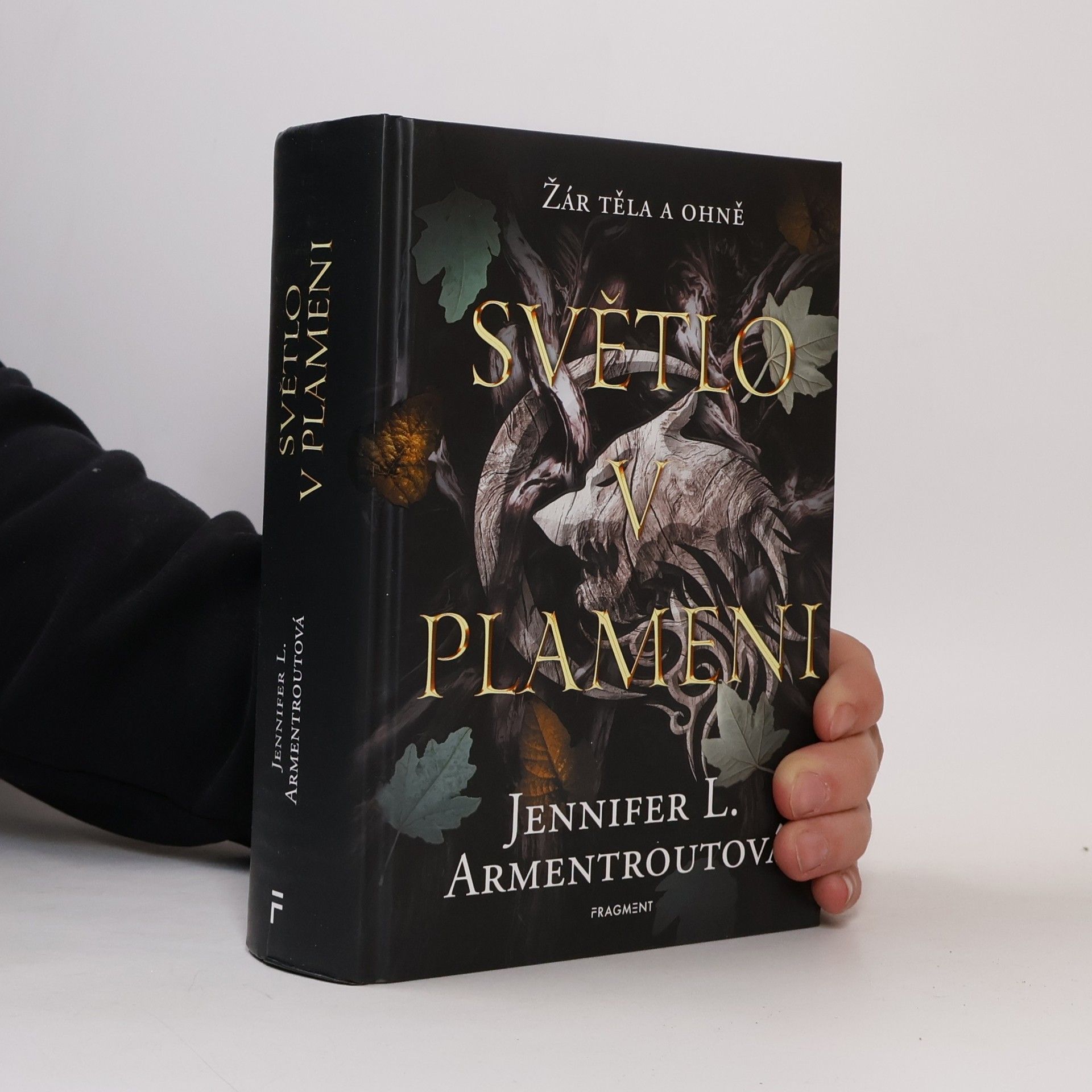 Jennifer Armentrout Světlo v plameni
