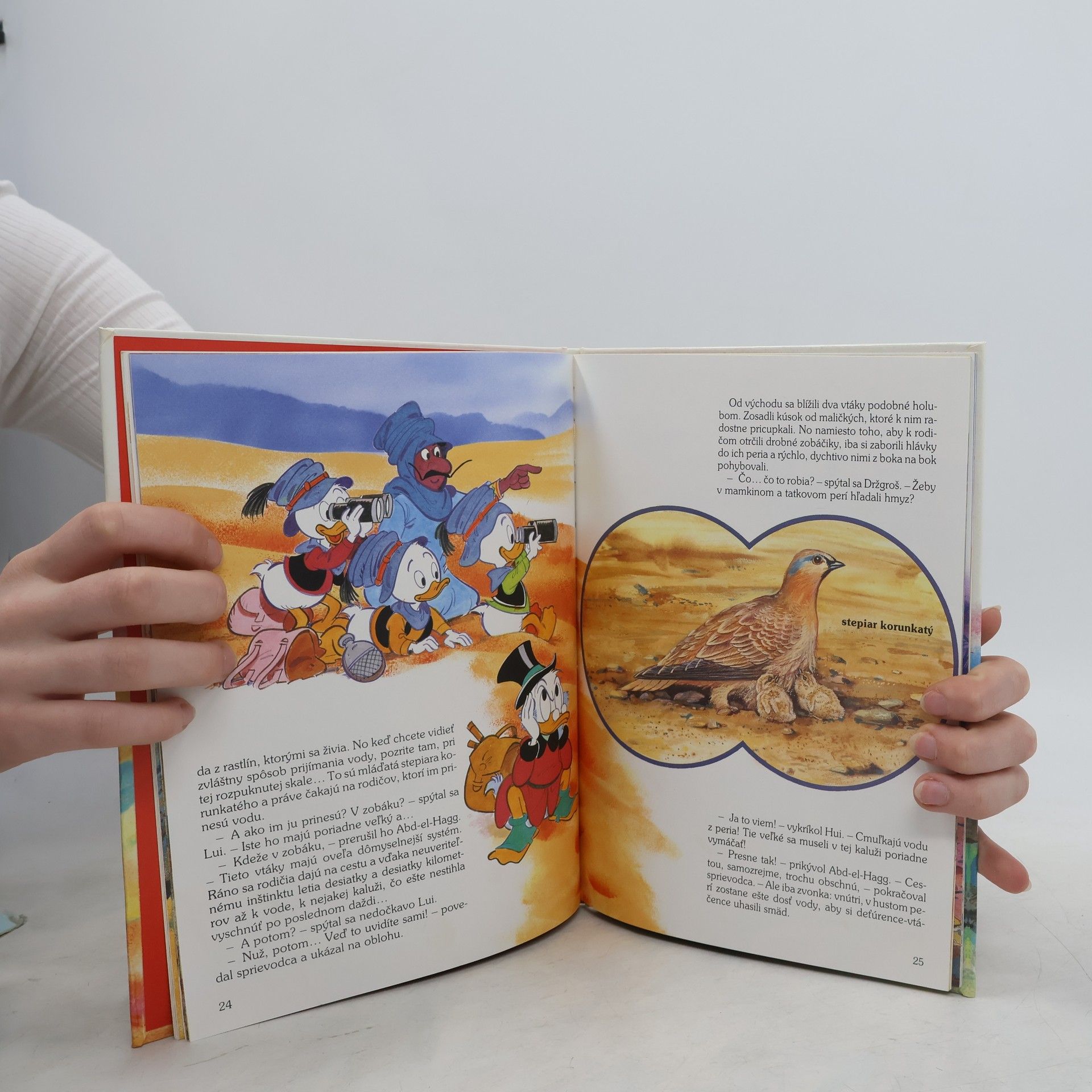 Walt Disney Na hrbe dromedára