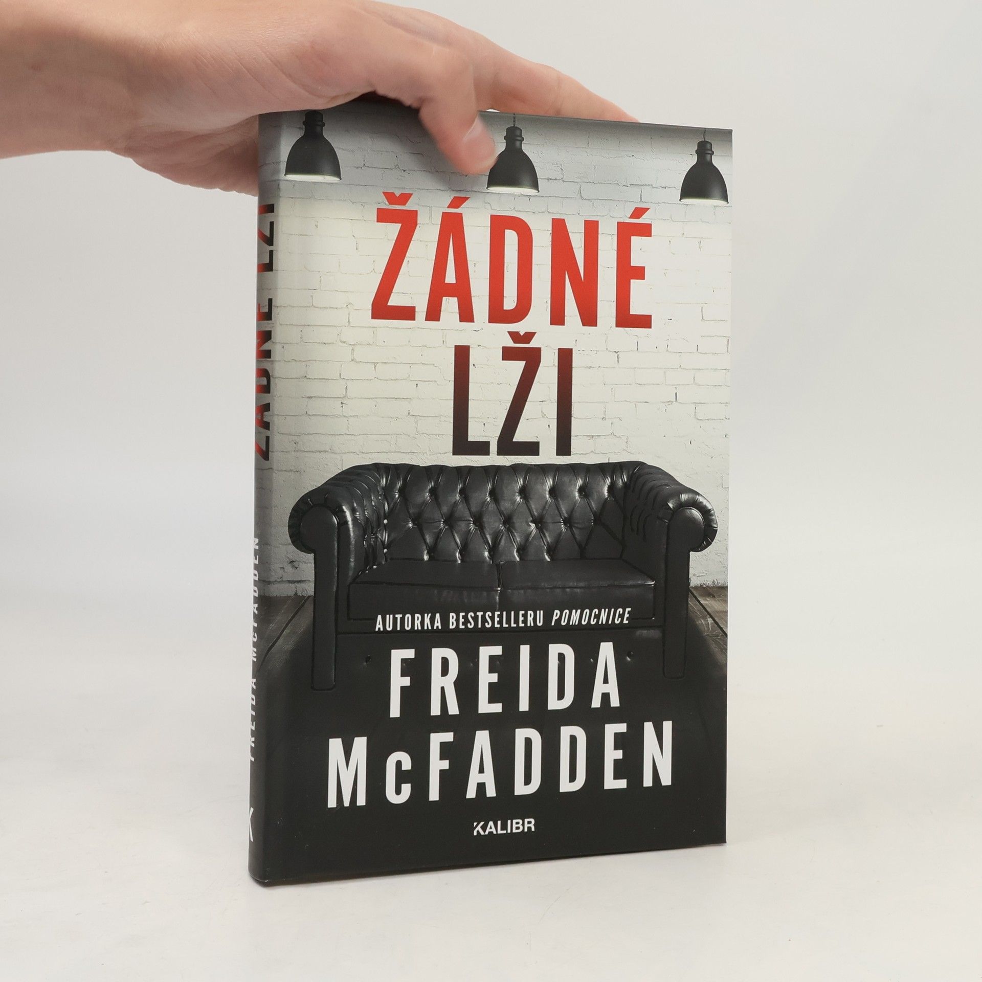 Freida McFadden Žádné lži