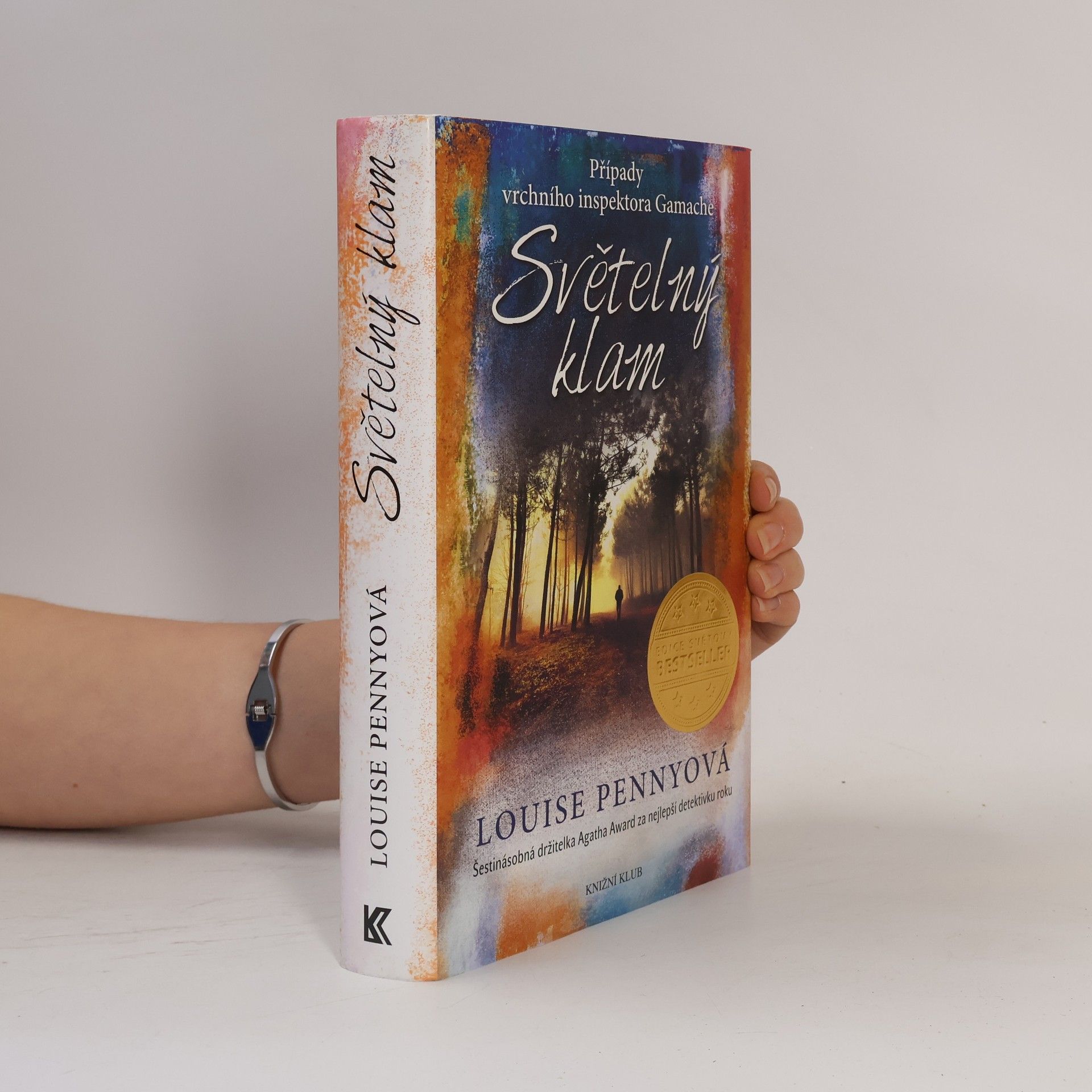Louise Penny Světelný klam