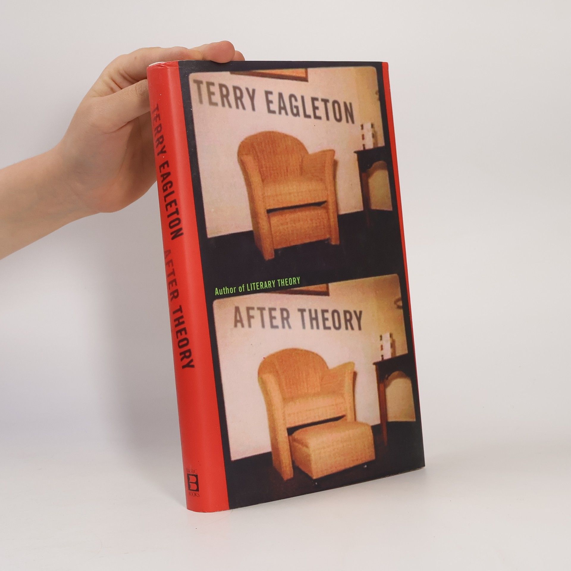 Terry Eagleton After Theory