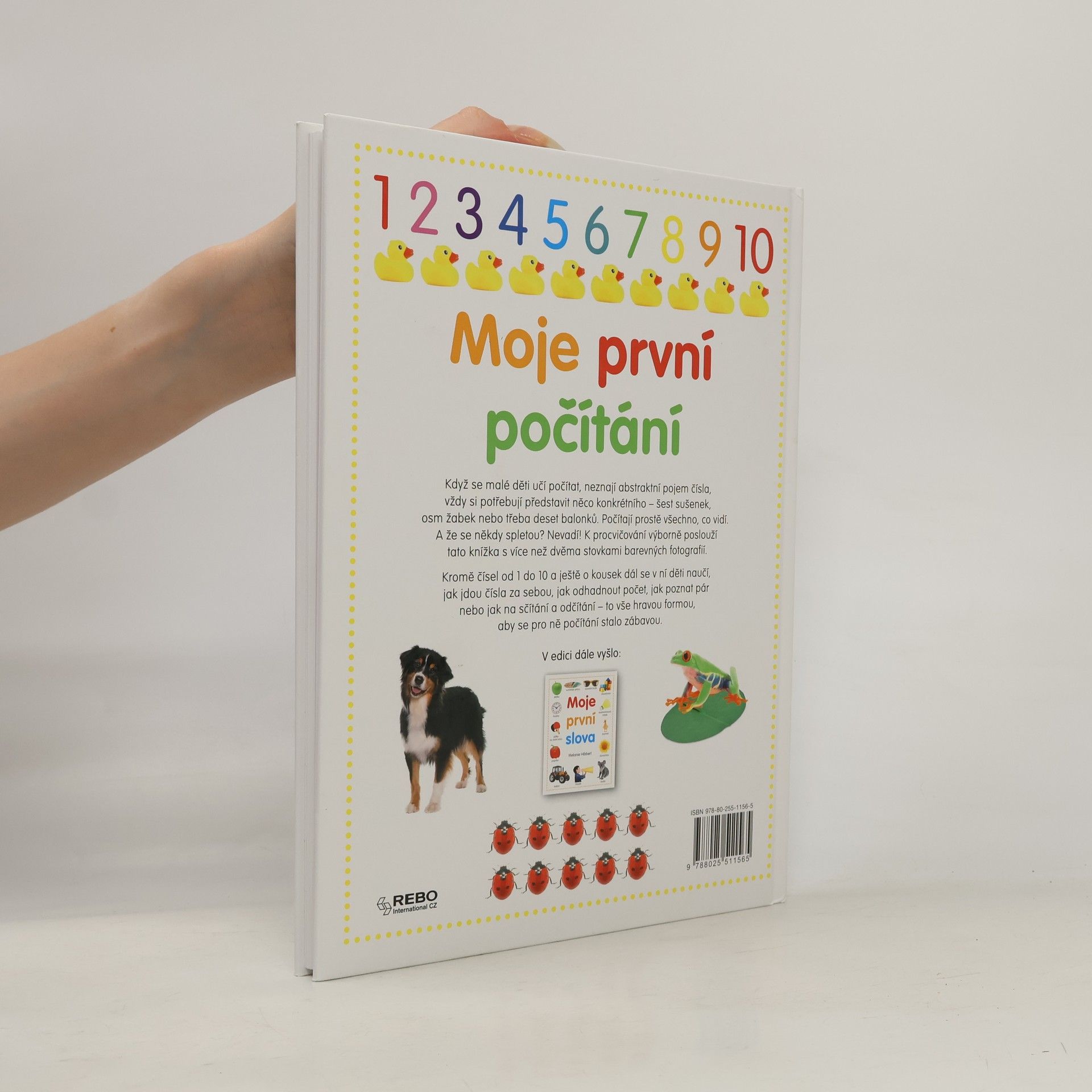 Melanie Hibbert Moje první počítání