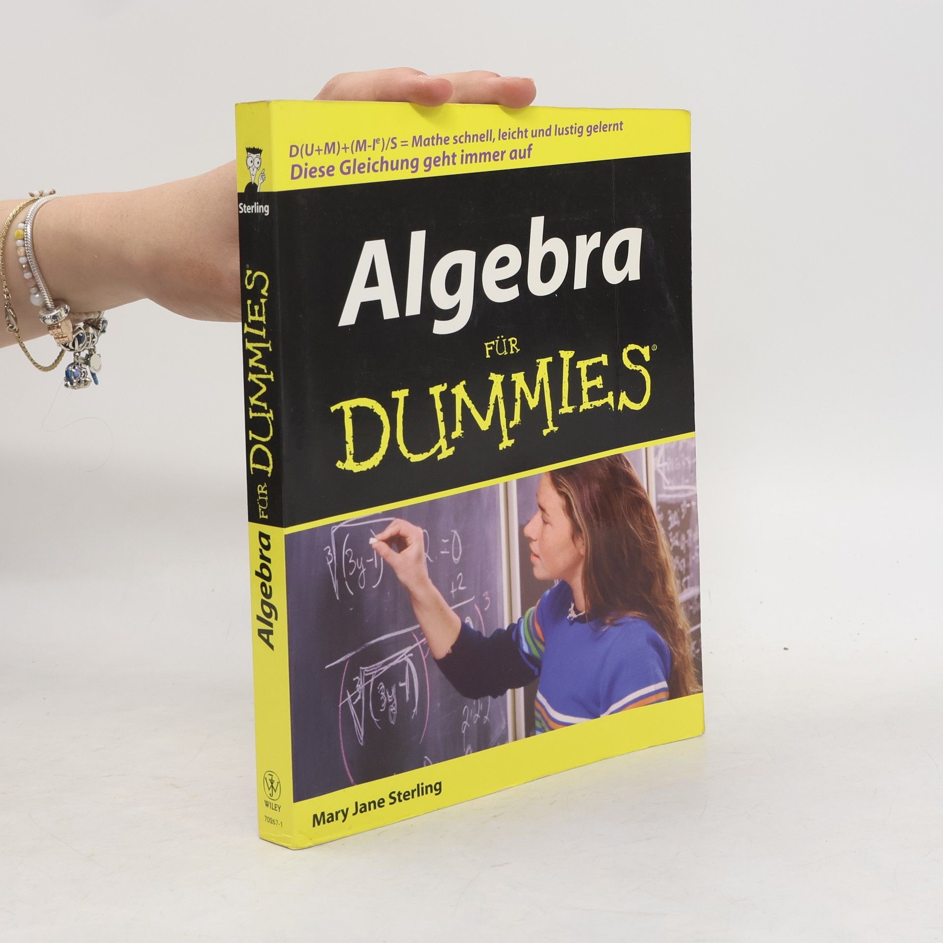 Mary Jane Sterling Algebra für Dummies