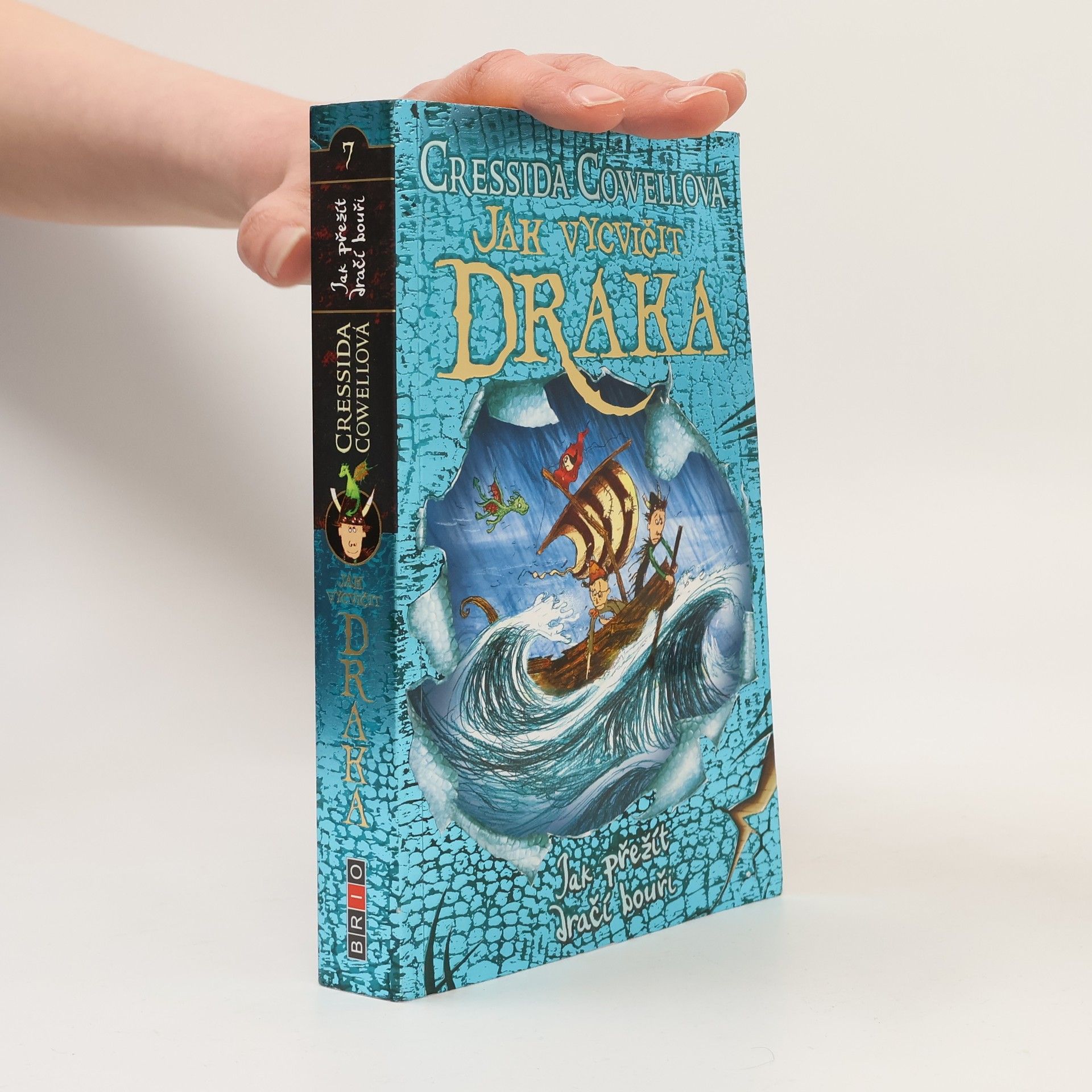 Cressida Cowell Jak vycvičit draka. Jak přežít dračí bouři