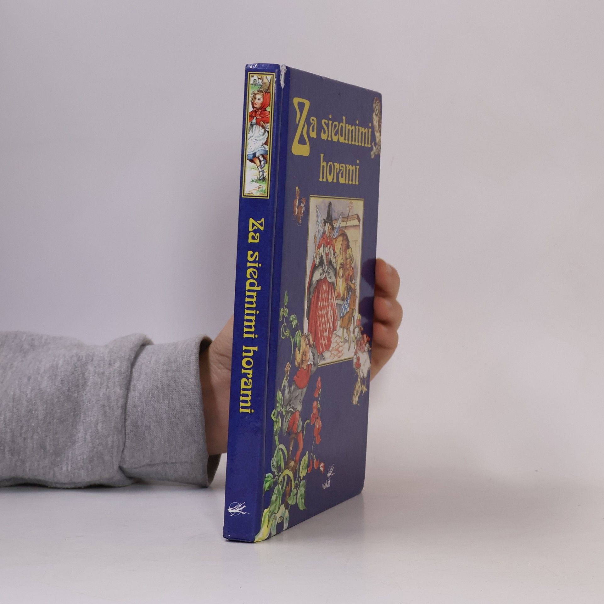 Autorenkollektiv Za siedmimi horami