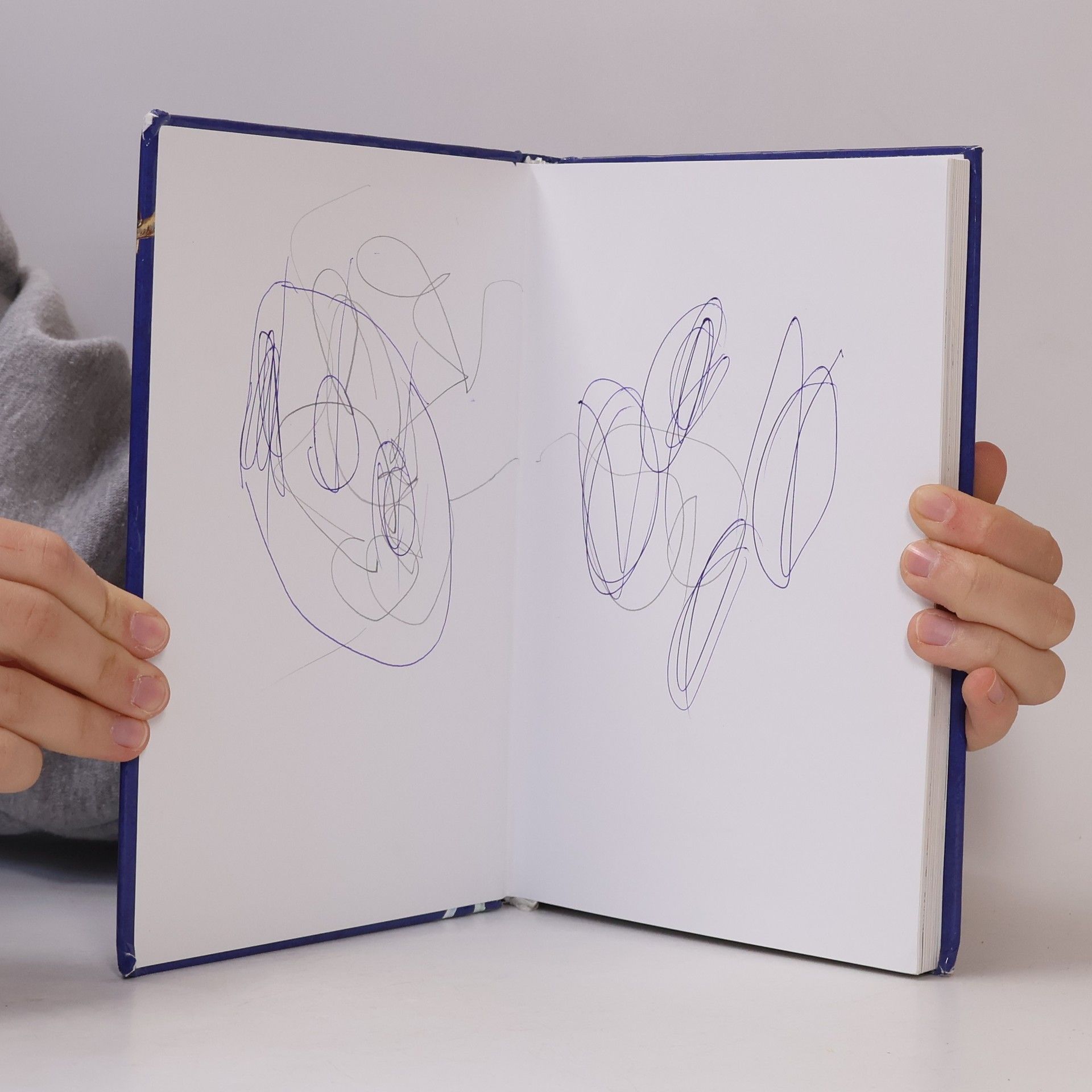 Autorenkollektiv Za siedmimi horami