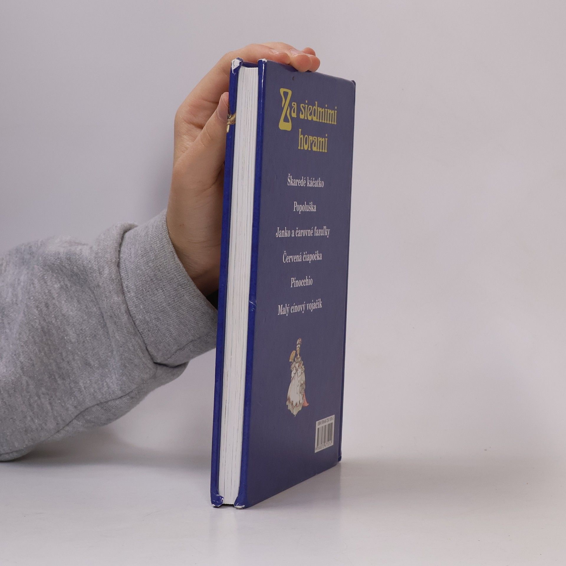 Autorenkollektiv Za siedmimi horami