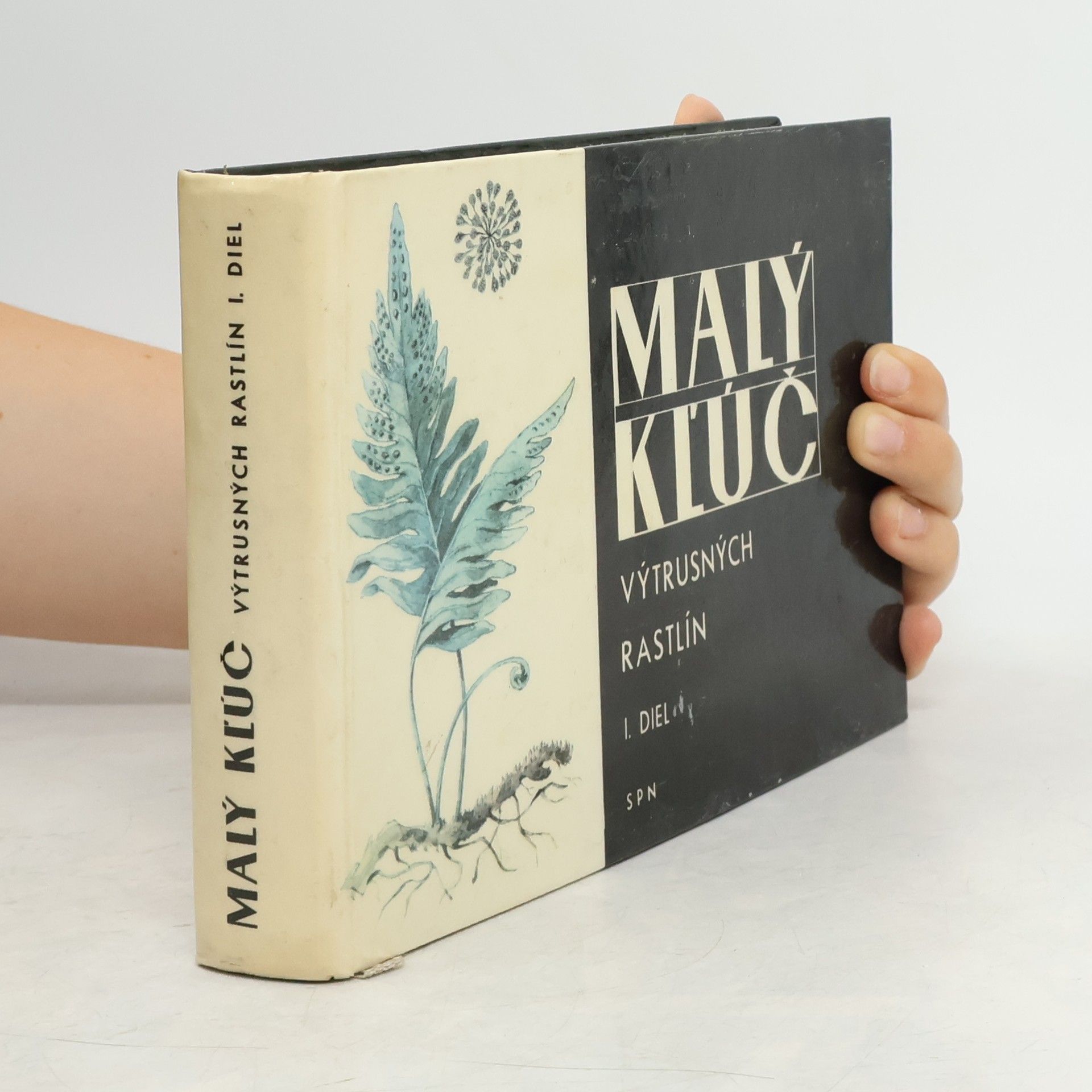 Autorenkollektiv Malý kľúč výtrusných rastlín I.