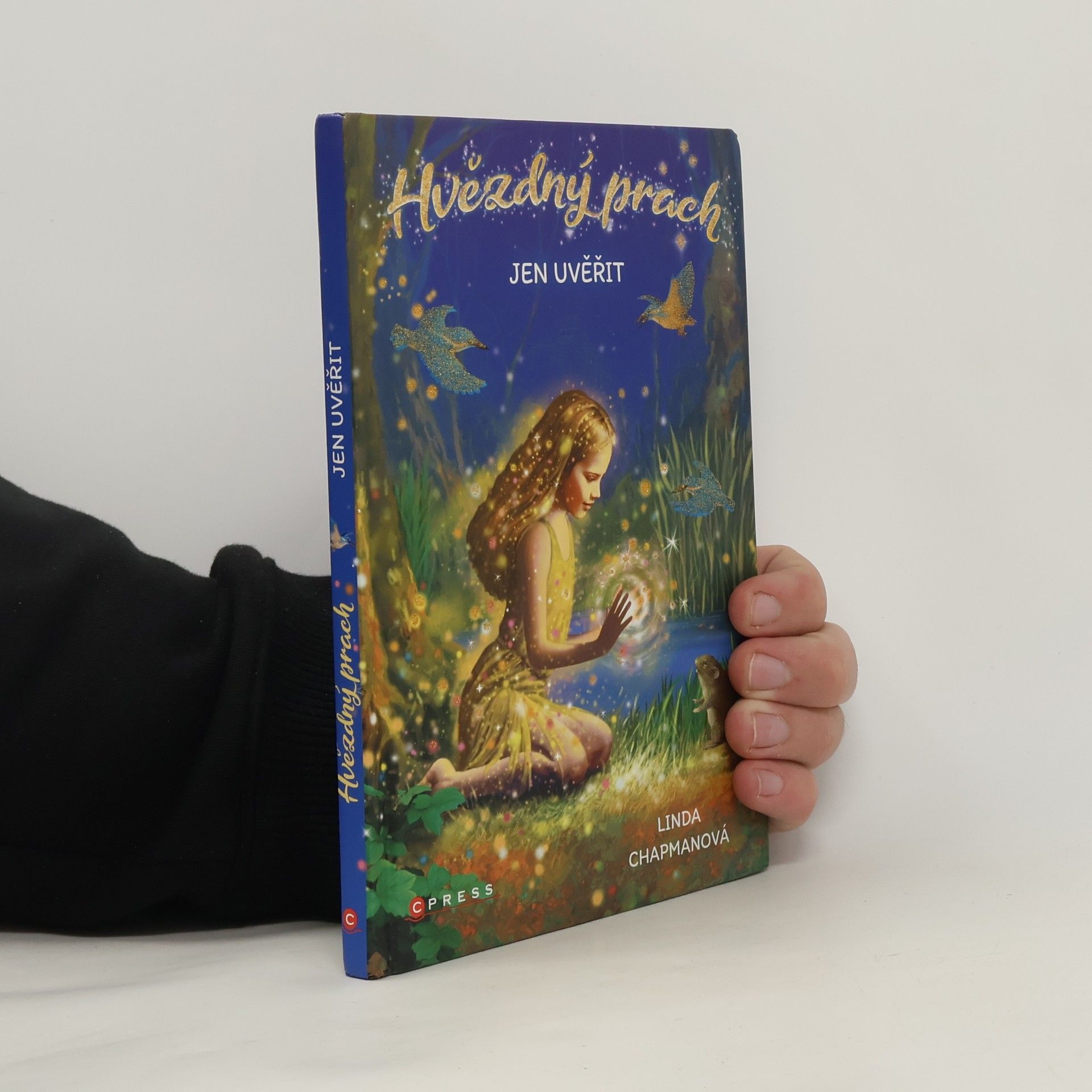 Linda Chapman Jen uvěřit