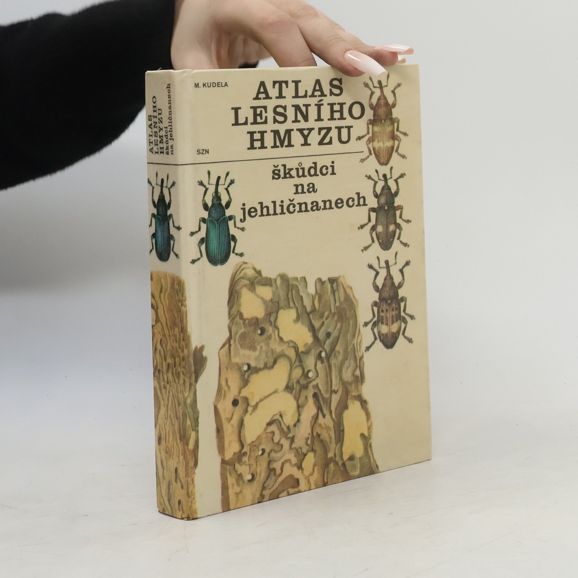 M. Kudela Atlas lesního hmyzu. Škůdci na jehličnanech