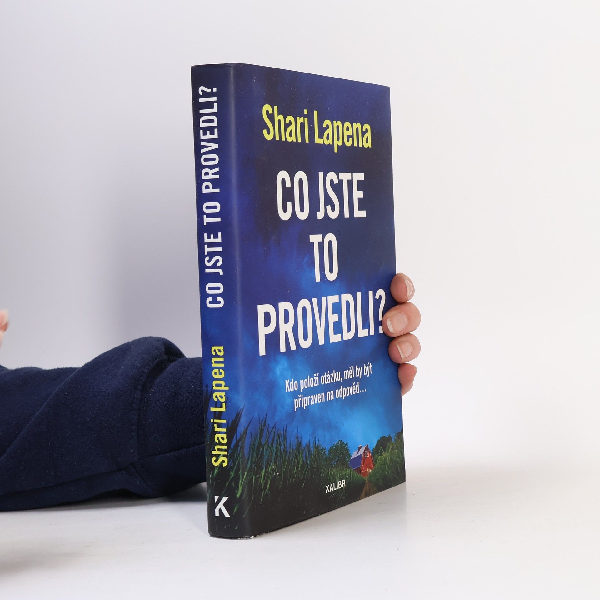 Shari Lapena Co jste to provedli?
