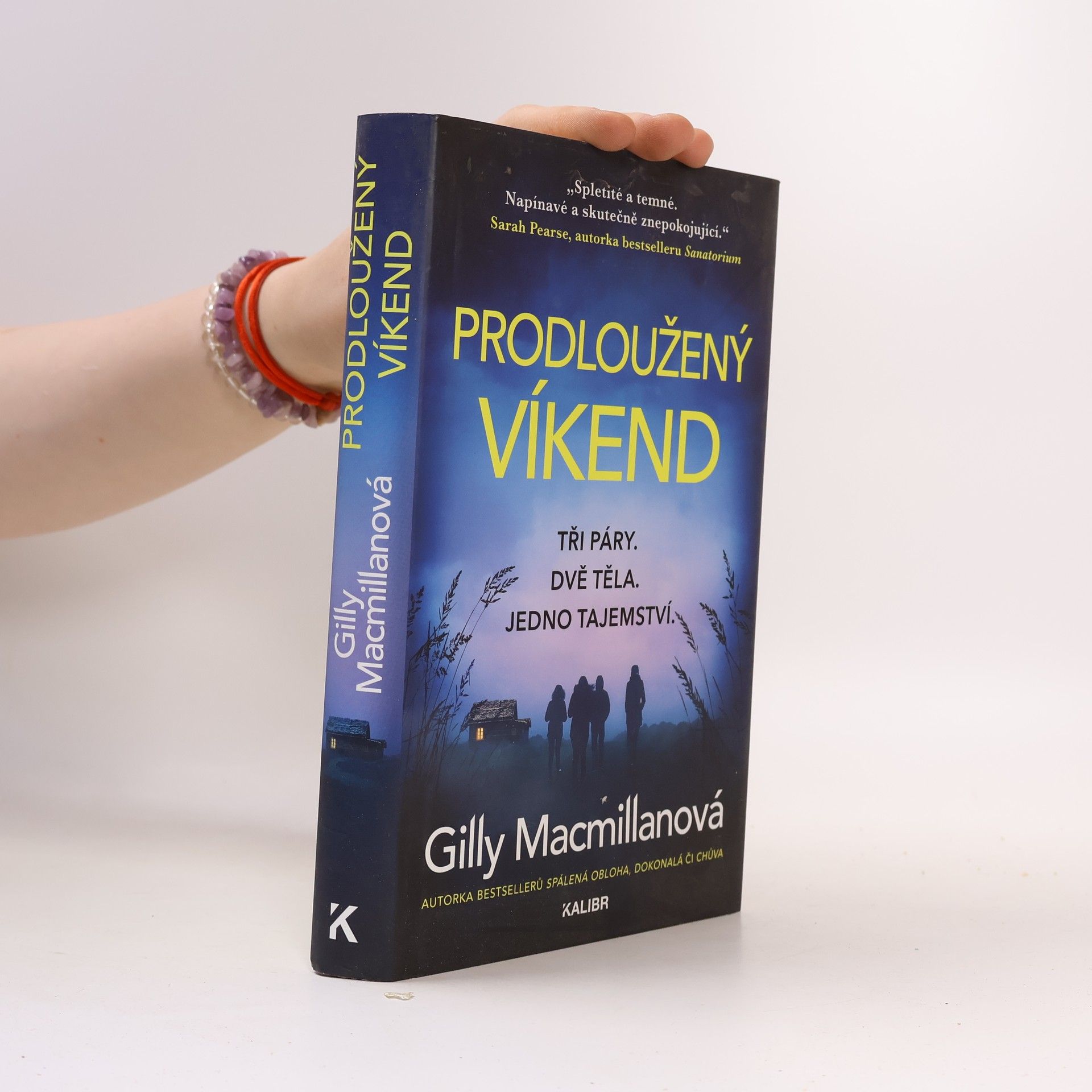 Gilly Macmillan Prodloužený víkend
