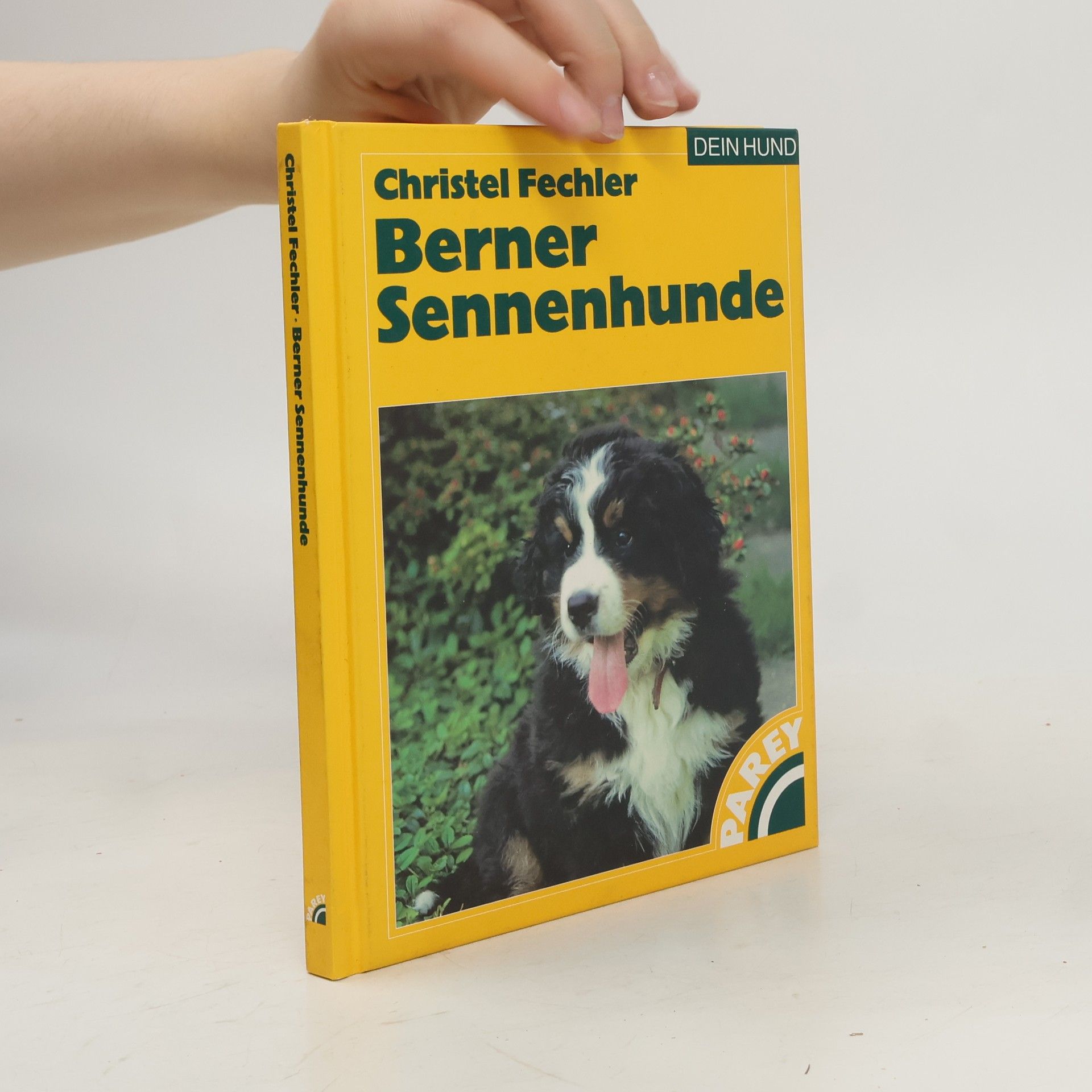 Christel Fechler Berner Sennenhunde