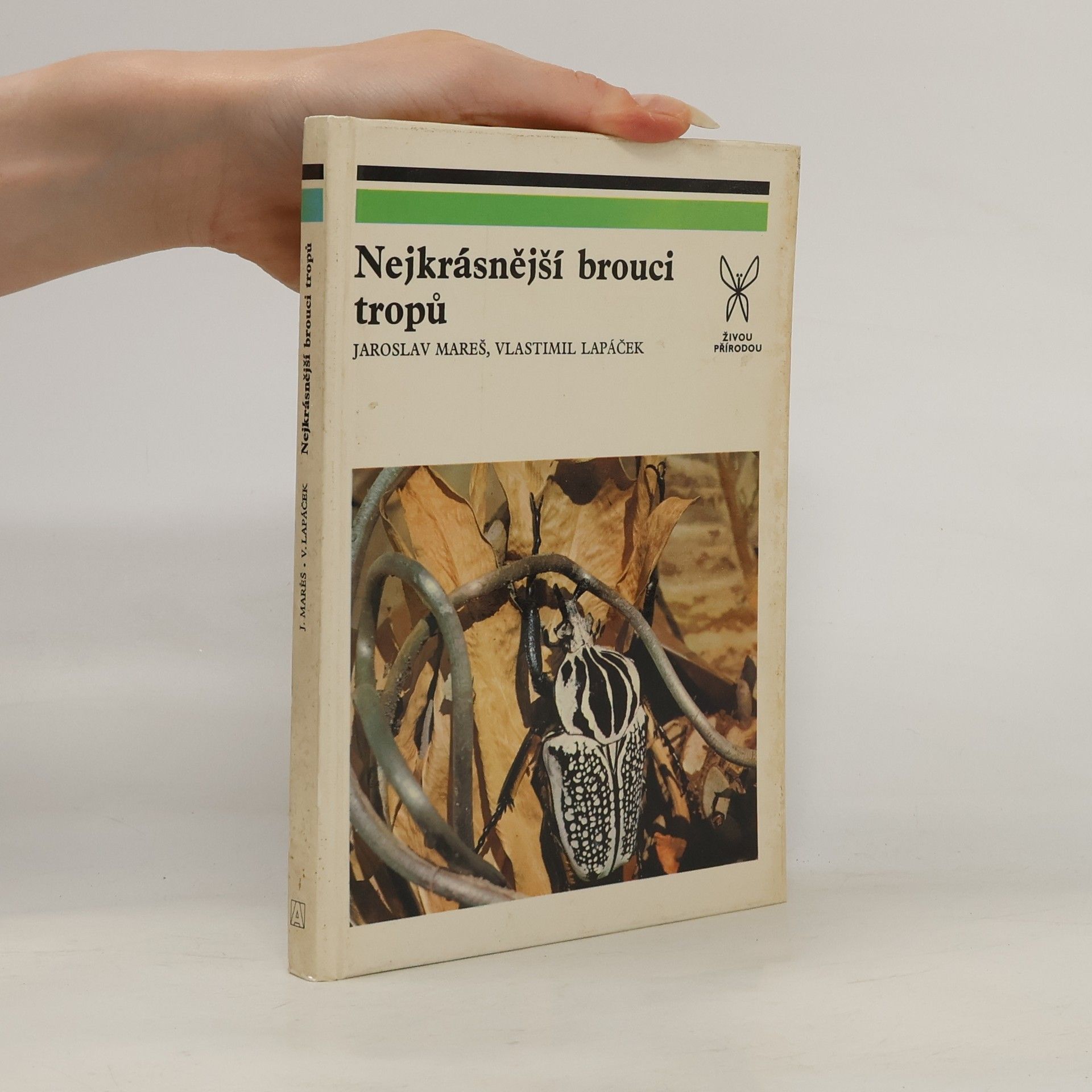 Jaroslav Mareš Nejkrásnější brouci tropů