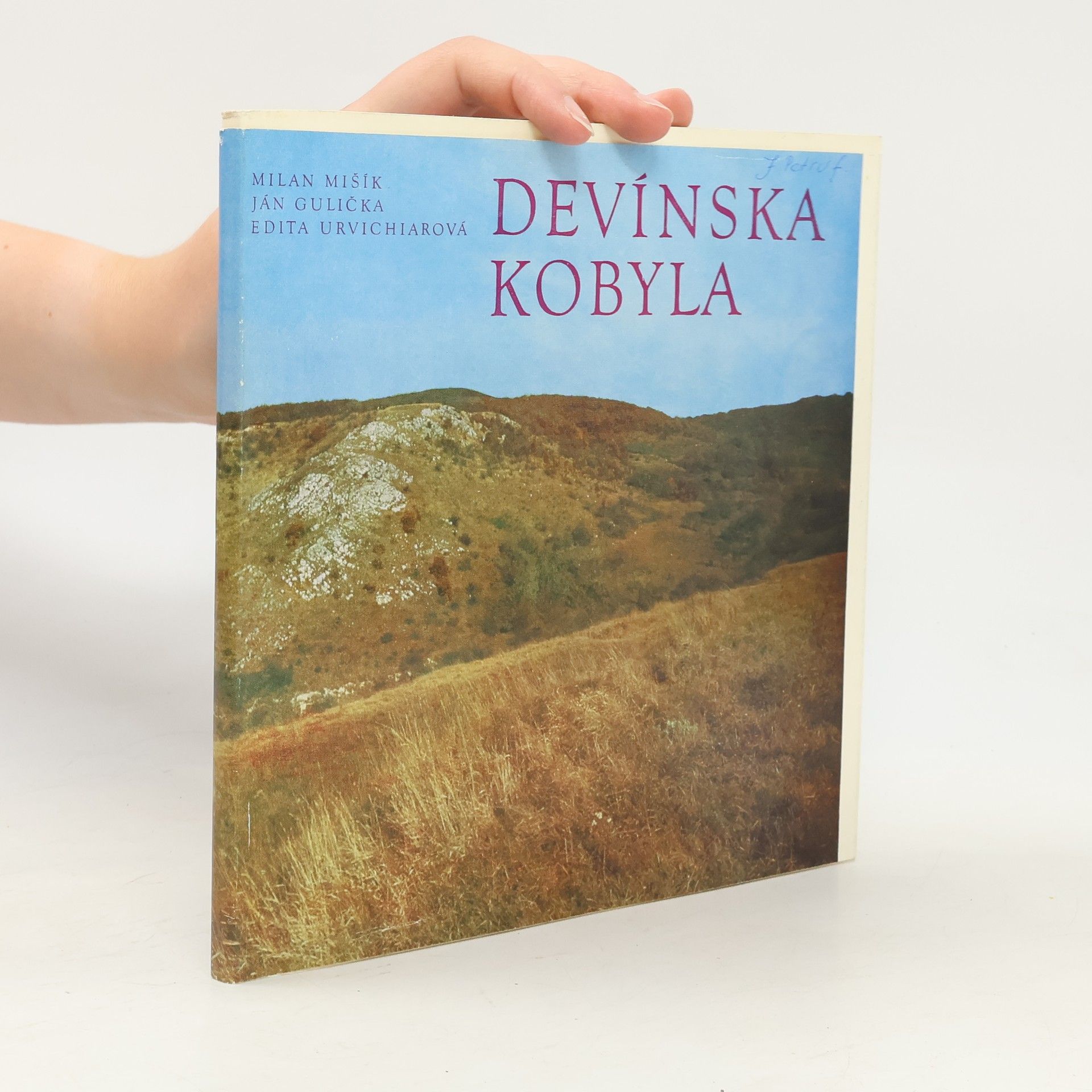 Devínská Kobyla 