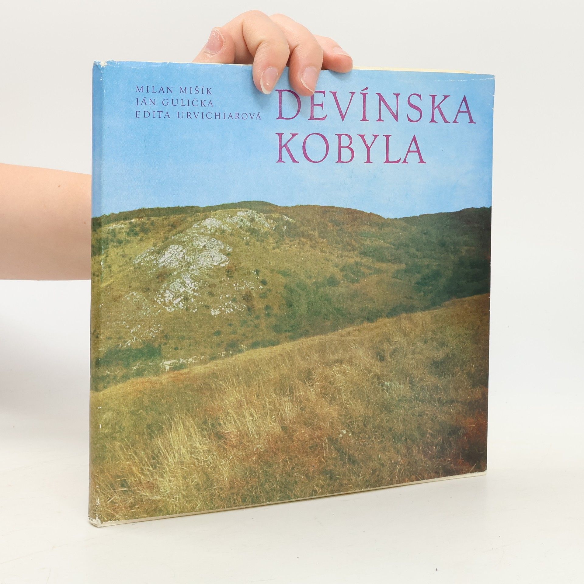 Ján Gulička Devínská Kobyla