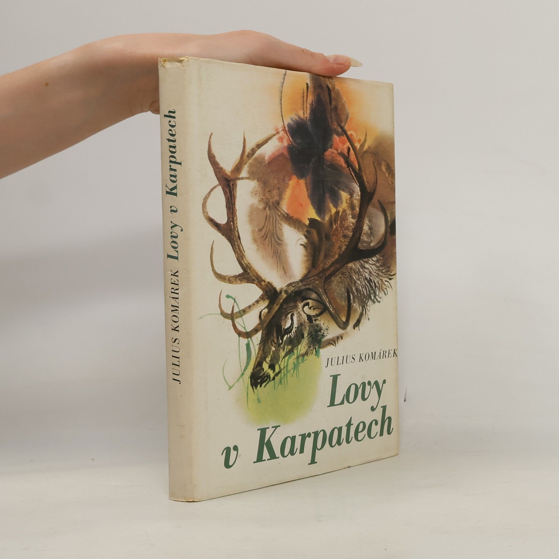 Julius Komárek Lovy v Karpatech
