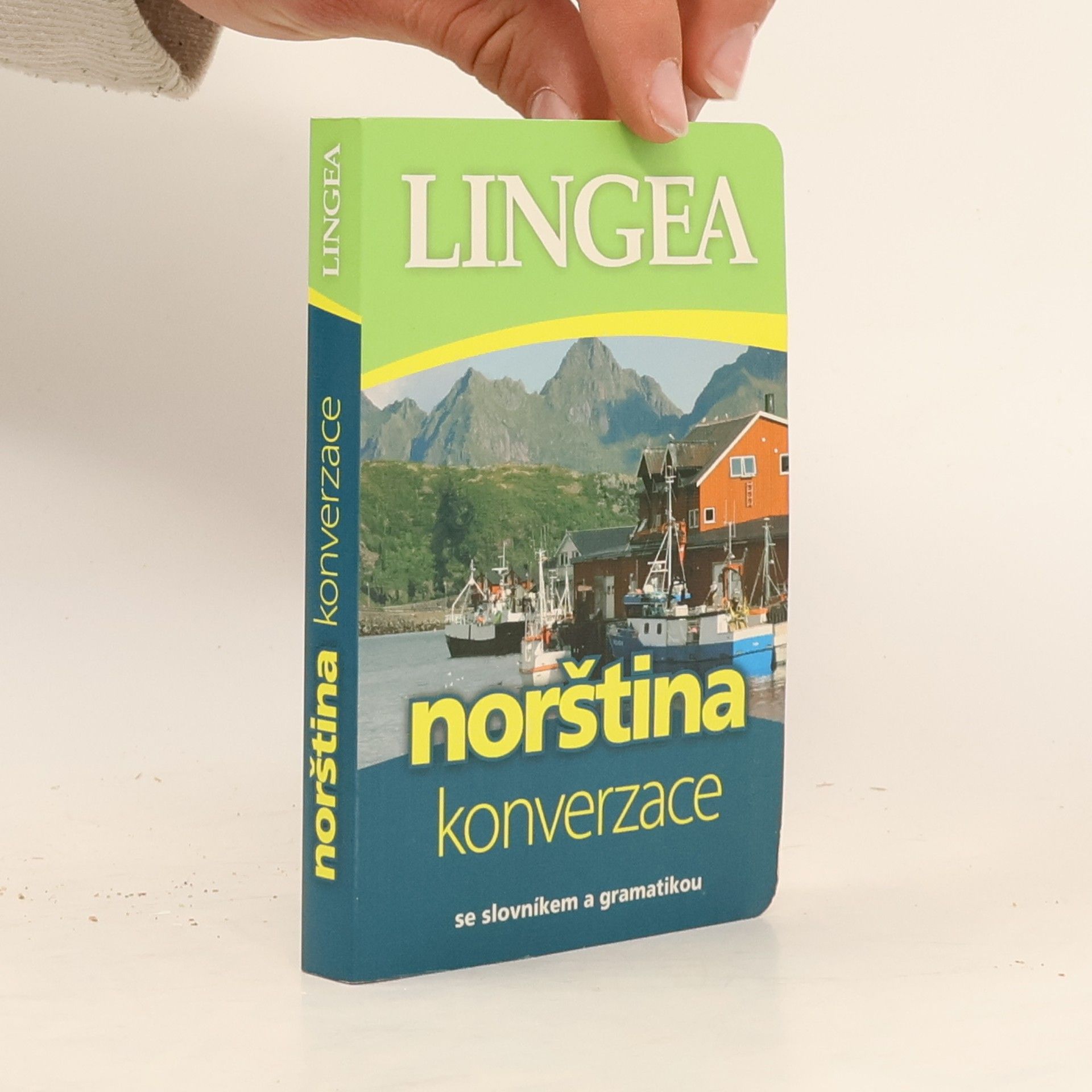 Autorenkollektiv Norština. Konverzace se slovníkem a gramatikou