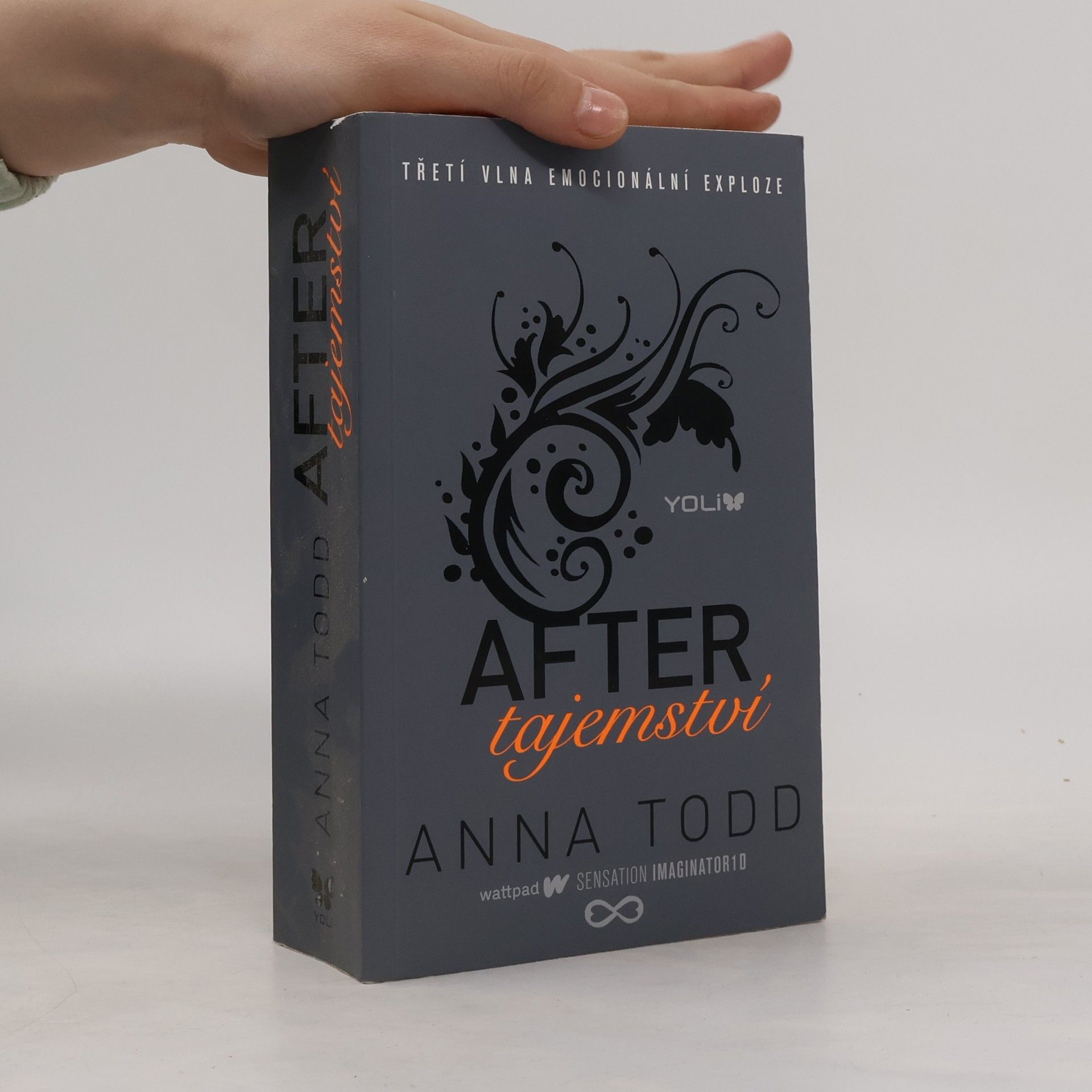 Anna Todd After. Tajemství