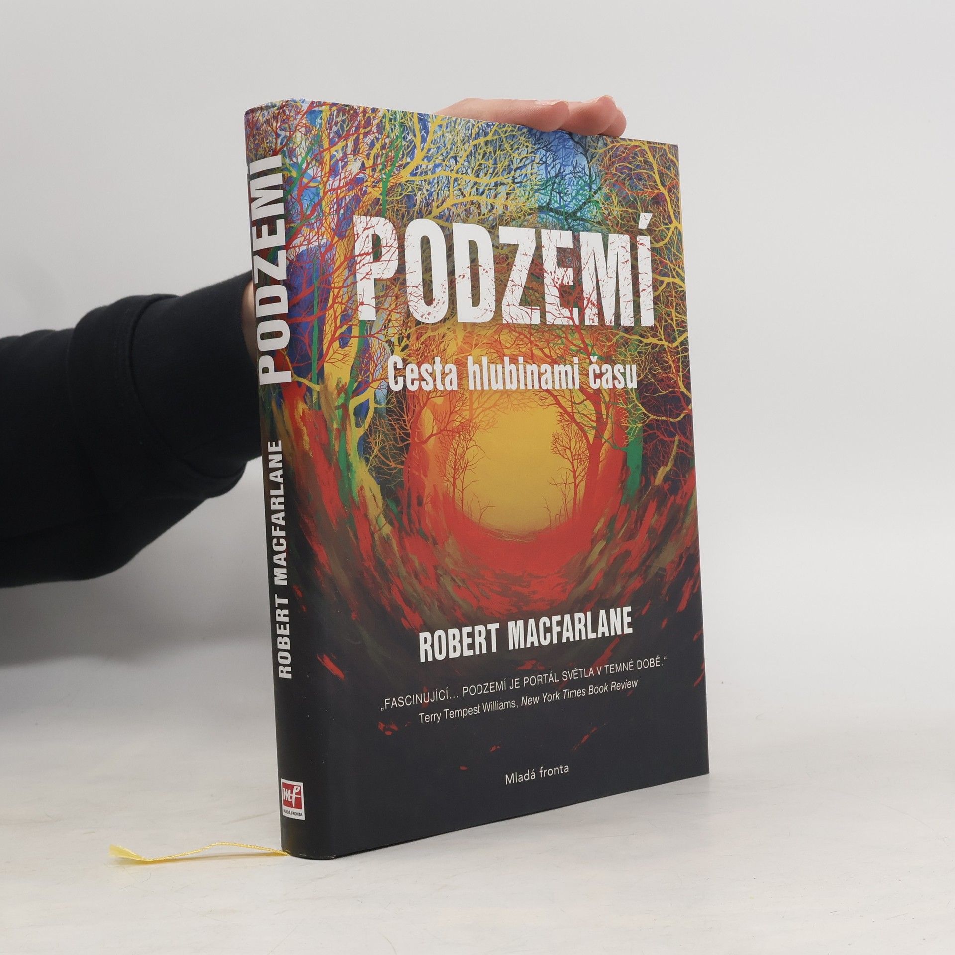 Robert McFarlane Podzemí : cesta hlubinami času