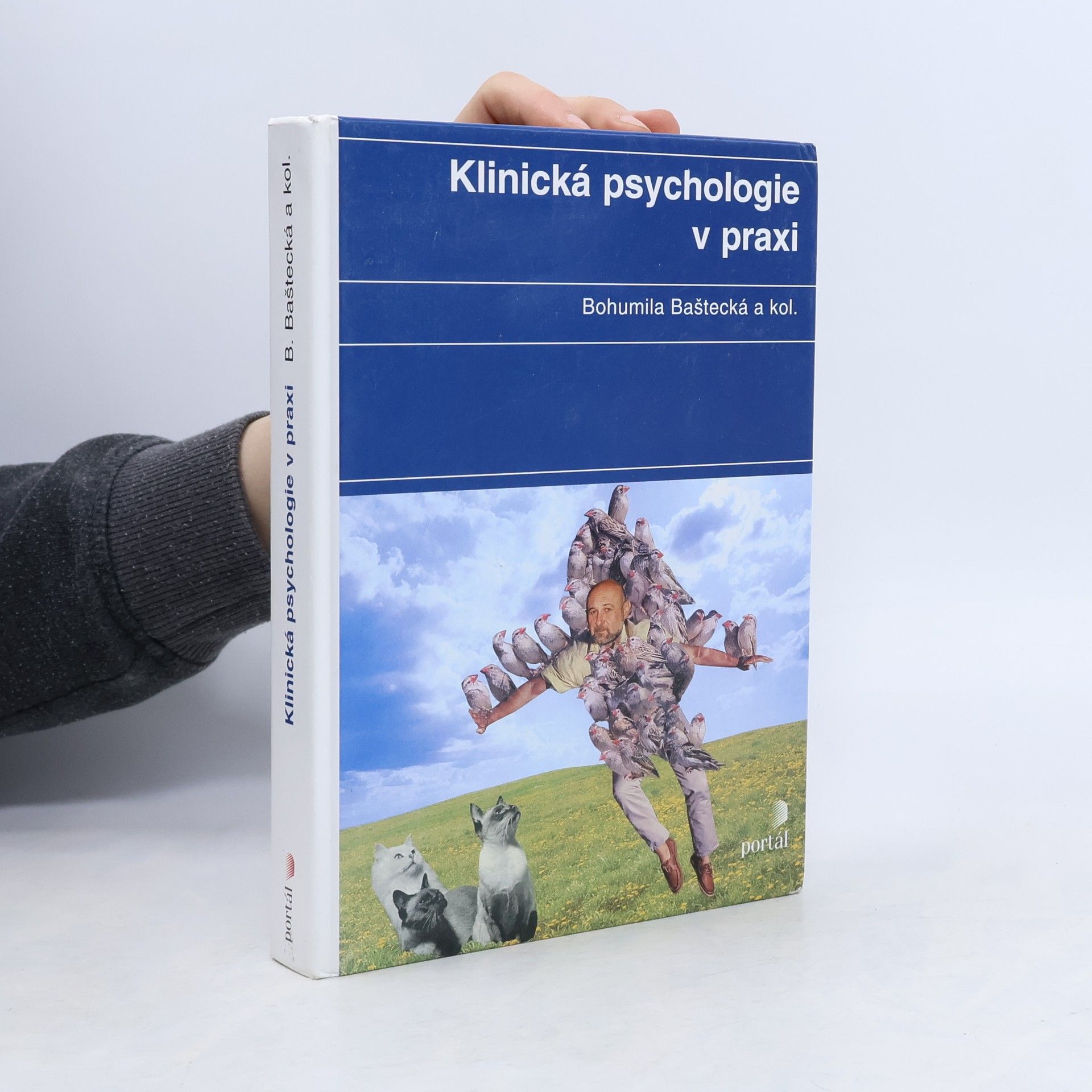 Bohumila Baštecká Klinická psychologie v praxi