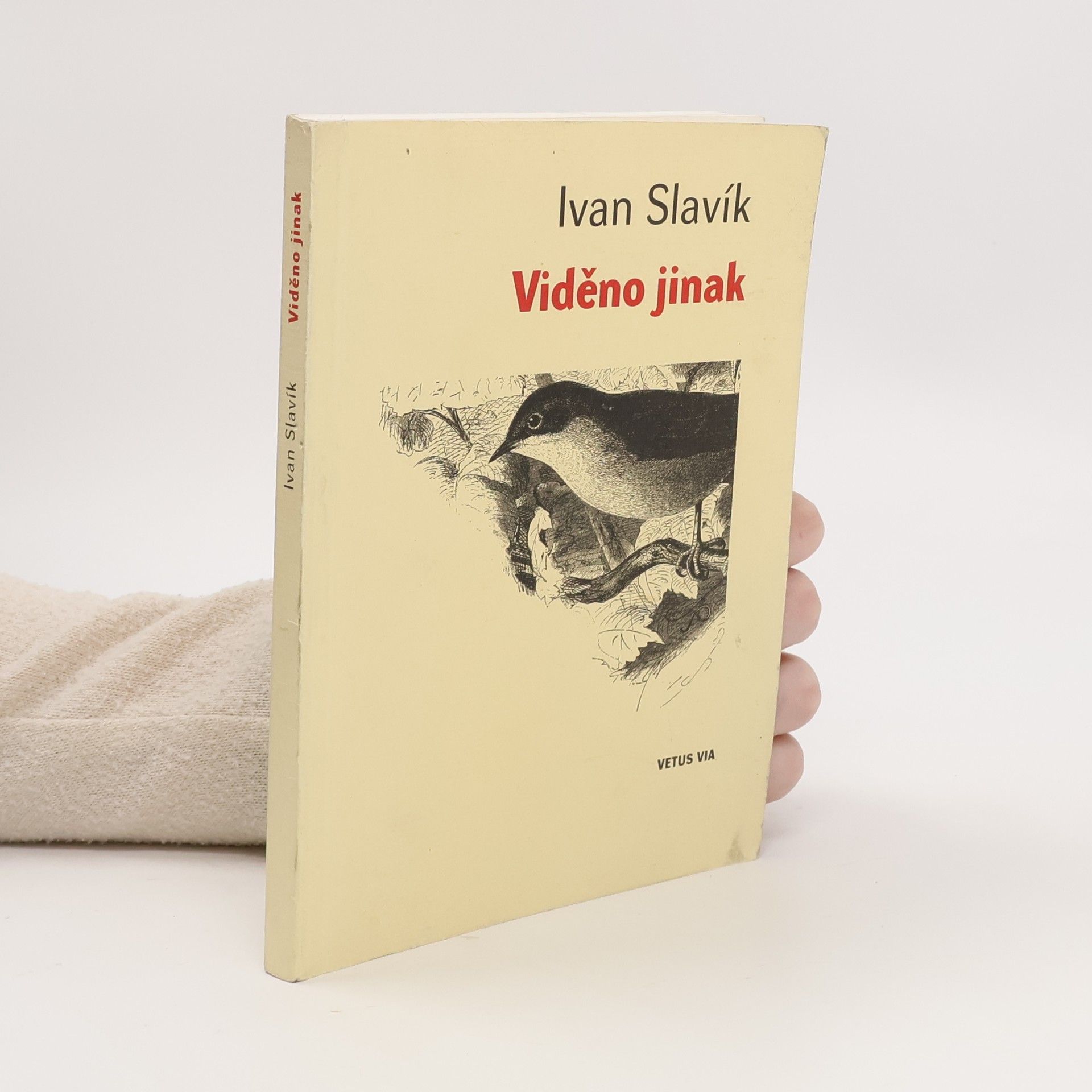 Ivan Slavík Viděno jinak
