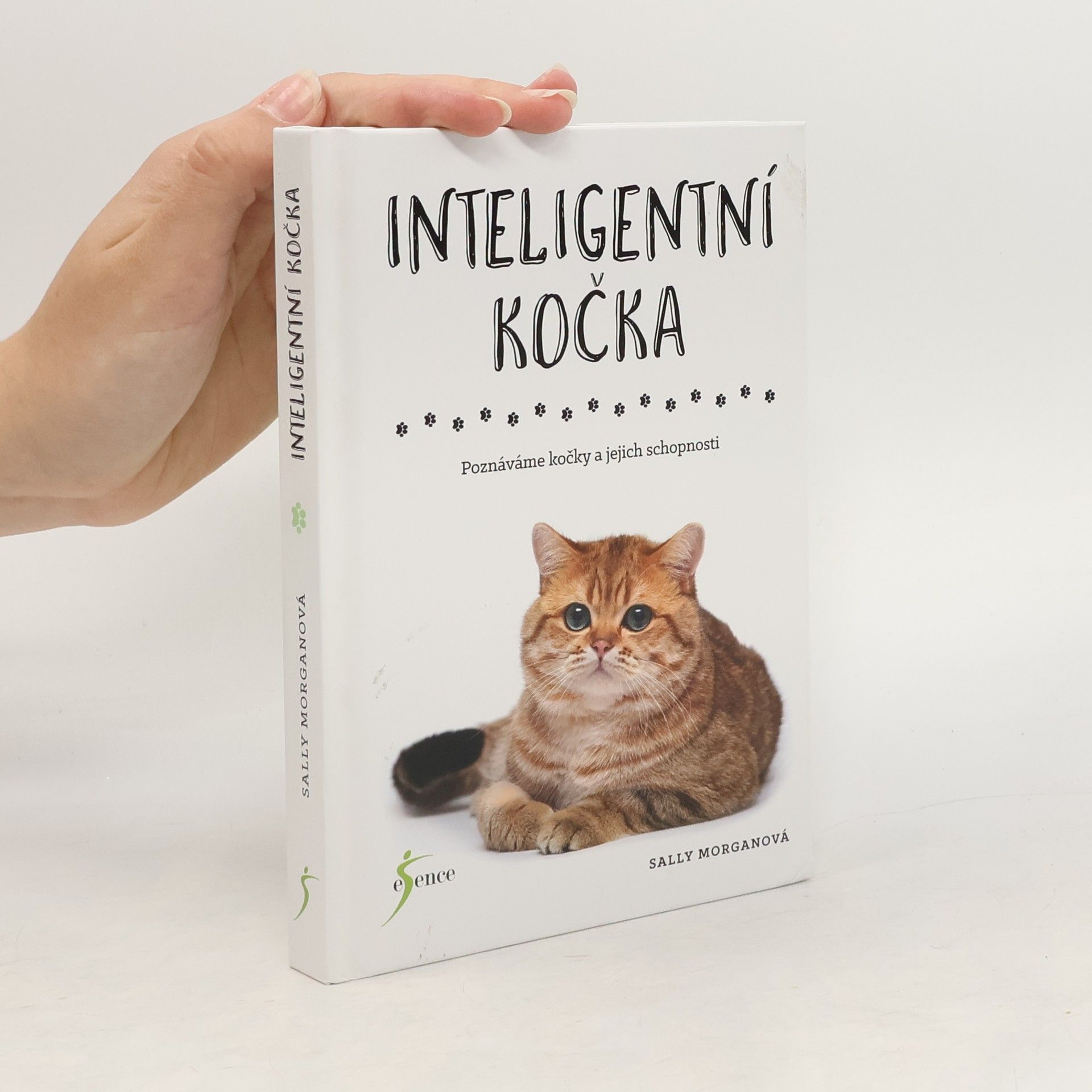 Sally Morgan Inteligentní kočka : poznáváme kočky a jejich schopnosti