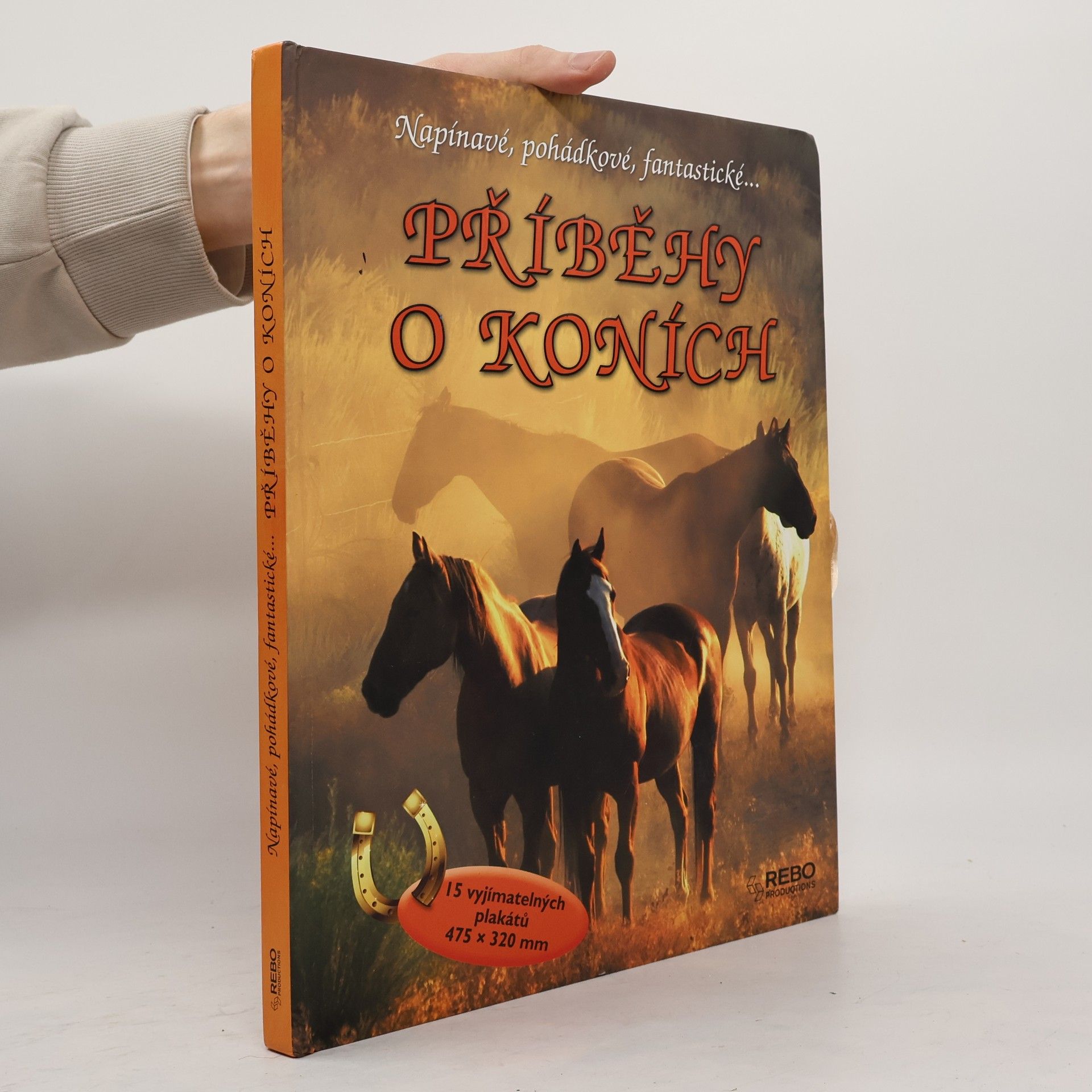 Christelle Huet-Gomez Příběhy o koních