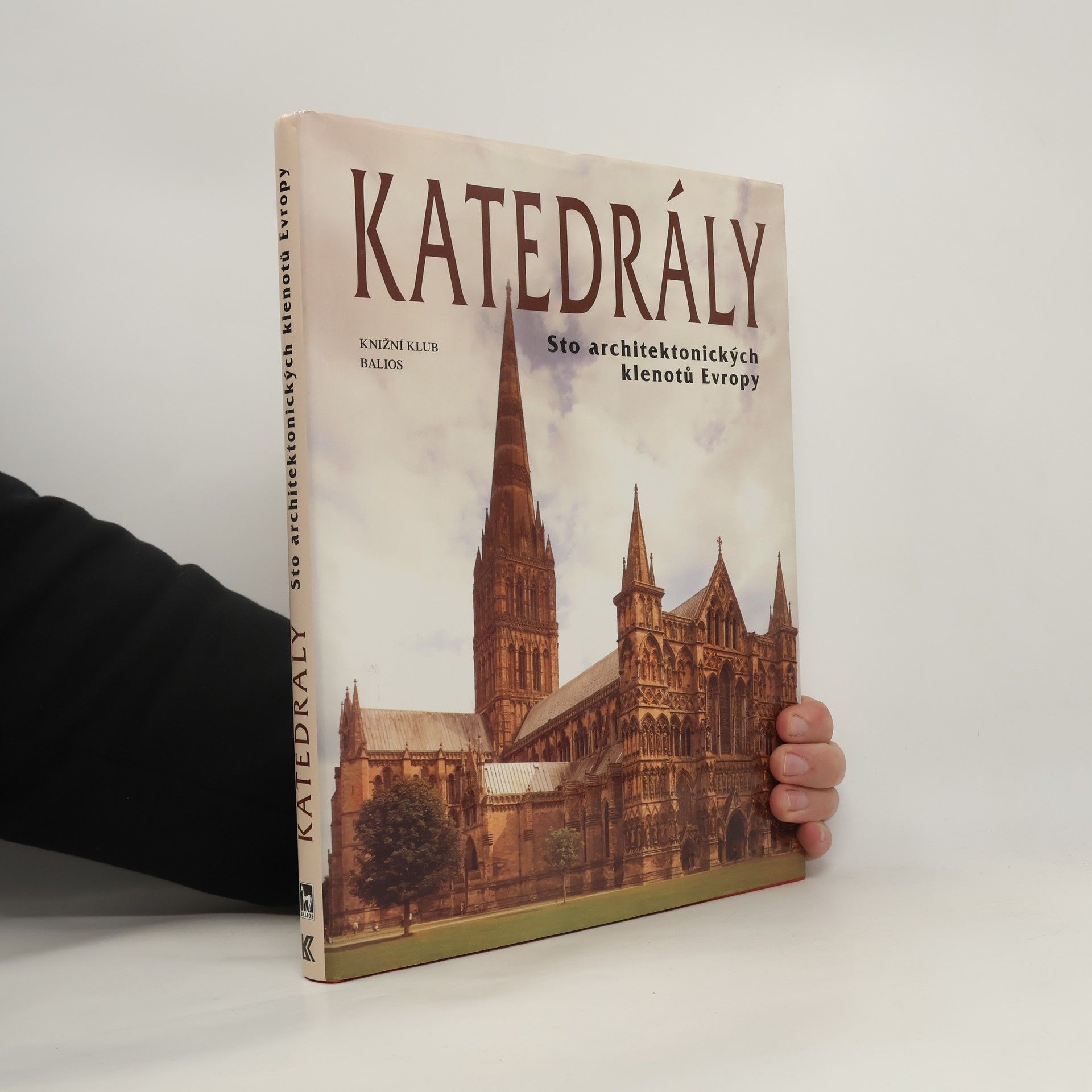 Josef Matějů Katedrály : sto architektonických klenotů Evropy