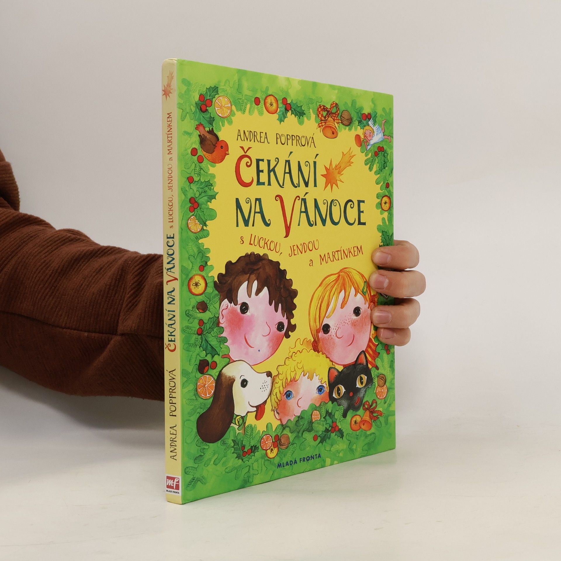 Andrea Popprová Čekání na Vánoce : s Luckou, Jendou a Martínkem