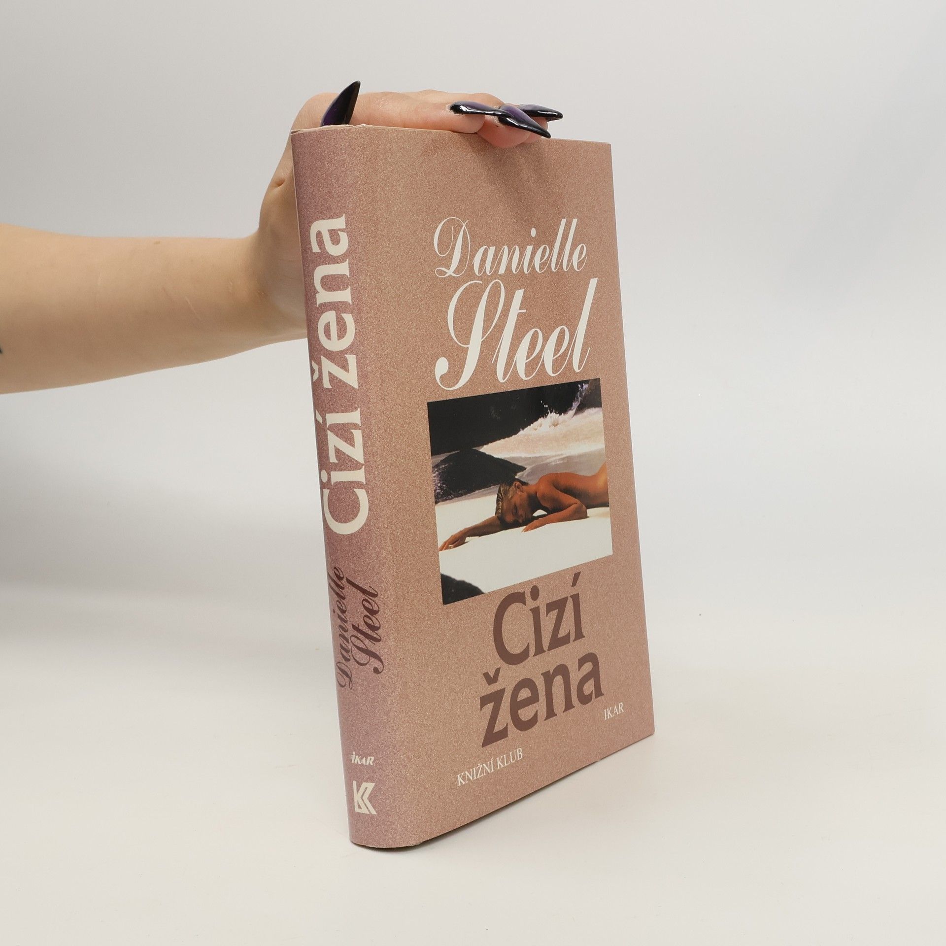 Danielle Steel Cizí žena