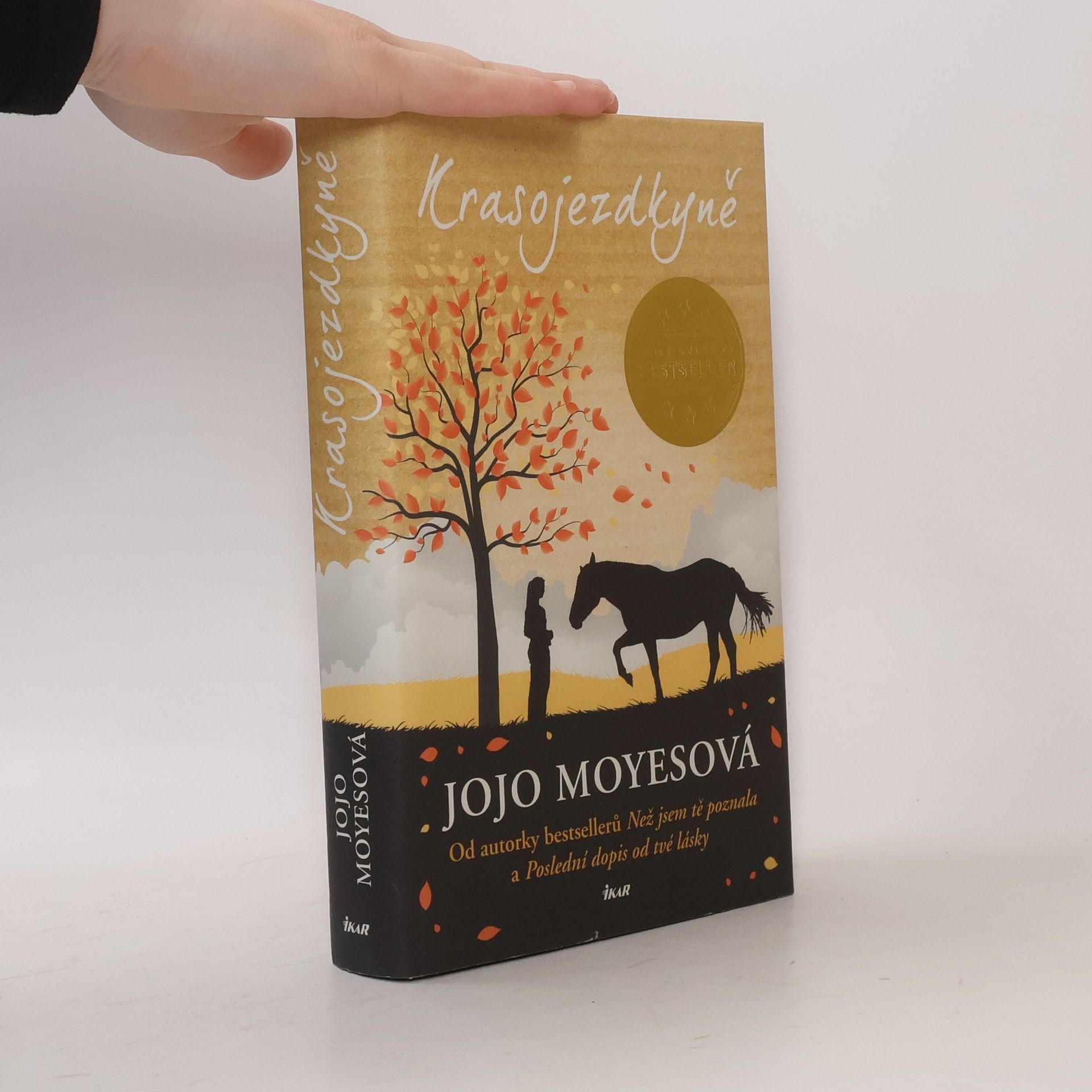 Jojo Moyes Krasojezdkyně