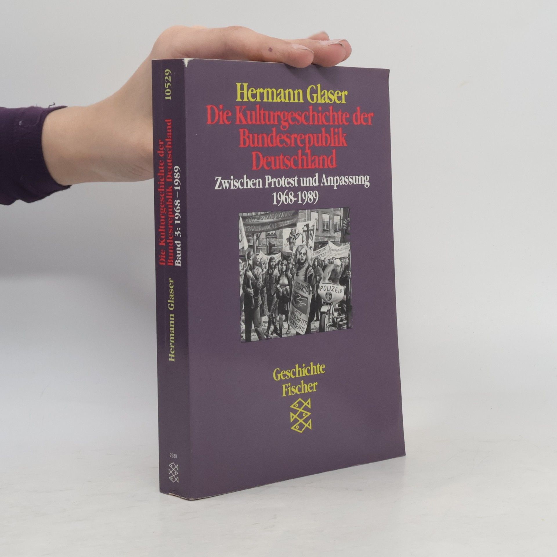 Die Kulturgeschichte der Bundesrepublik Deutschland